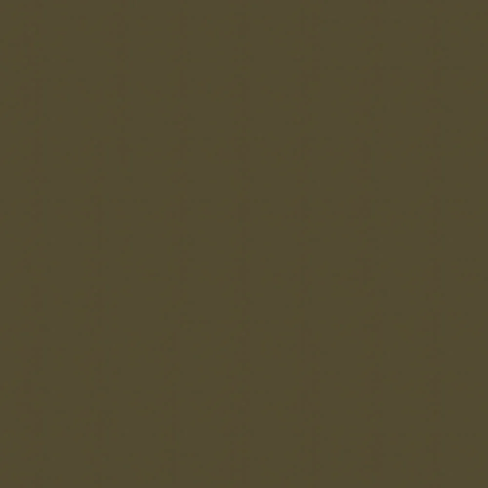 523 Bronze