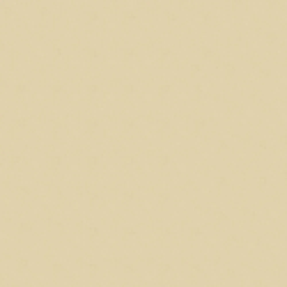 385 Parchment