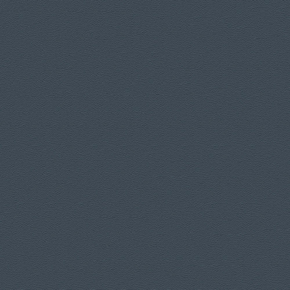 291-2478 Dimplom.Blue