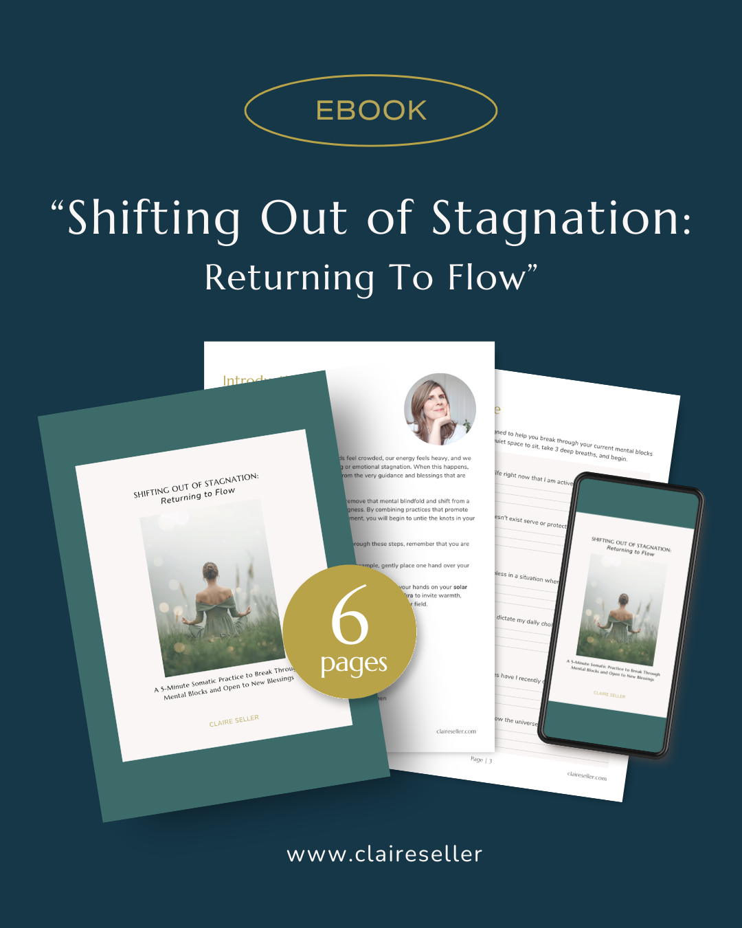 Shifting out of stagnation - Ebook Mockup Instagram Post.png