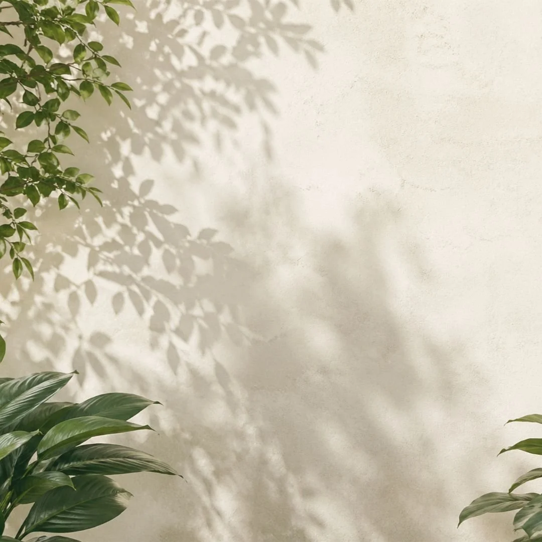 Soft sunlight casting leafy foliage shadows across a textured beige stone wall, symbolizing calm distance healing and a grounded environment for a virtual Reiki session.