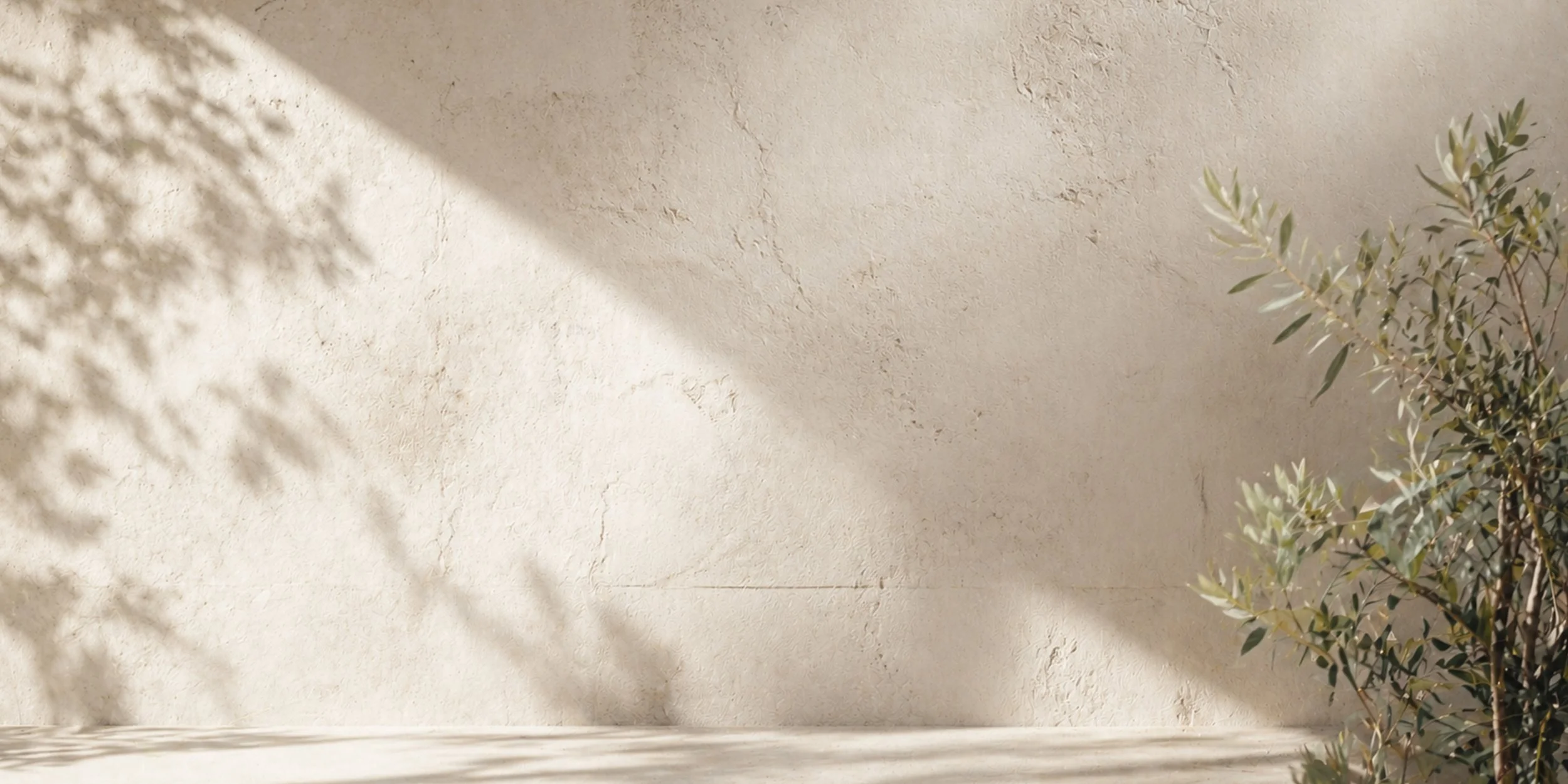 Soft leafy shadows dancing across a textured stone wall and floor, visually representing how distance Reiki energy healing flows across space and time.