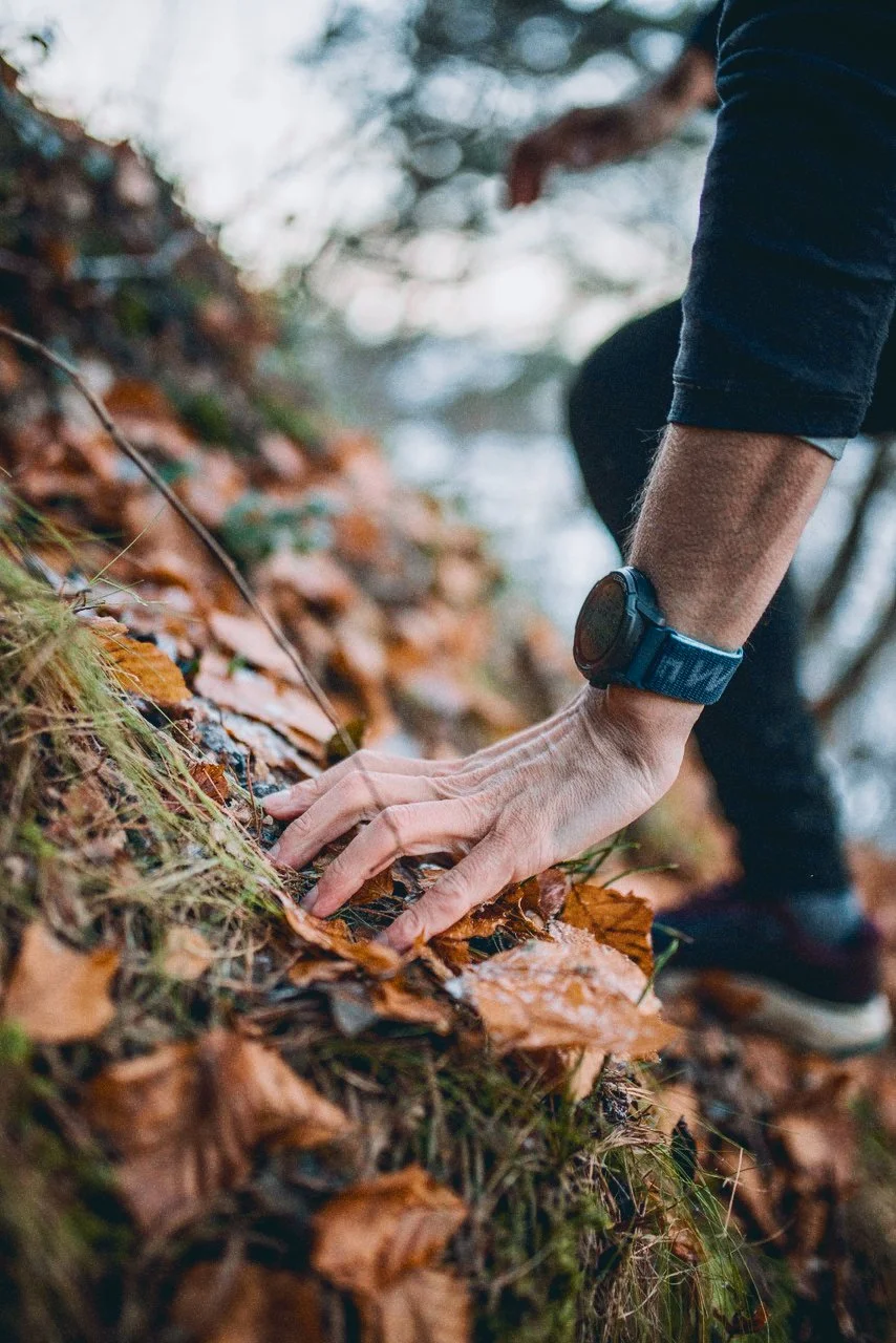 Kilian Jornet hand touching wet fallen autumn leaves on the ground in a forest. The person is wearing a black long sleeve shirt and a Coros watch with a The Mountain Way is the Fun way wriststrap. The background is blurred of trees and leaves.
