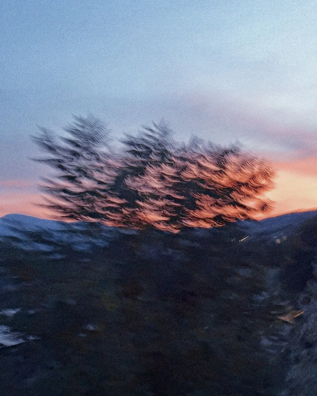 Blurred image of a tree with pink and orange sunset sky in the background.