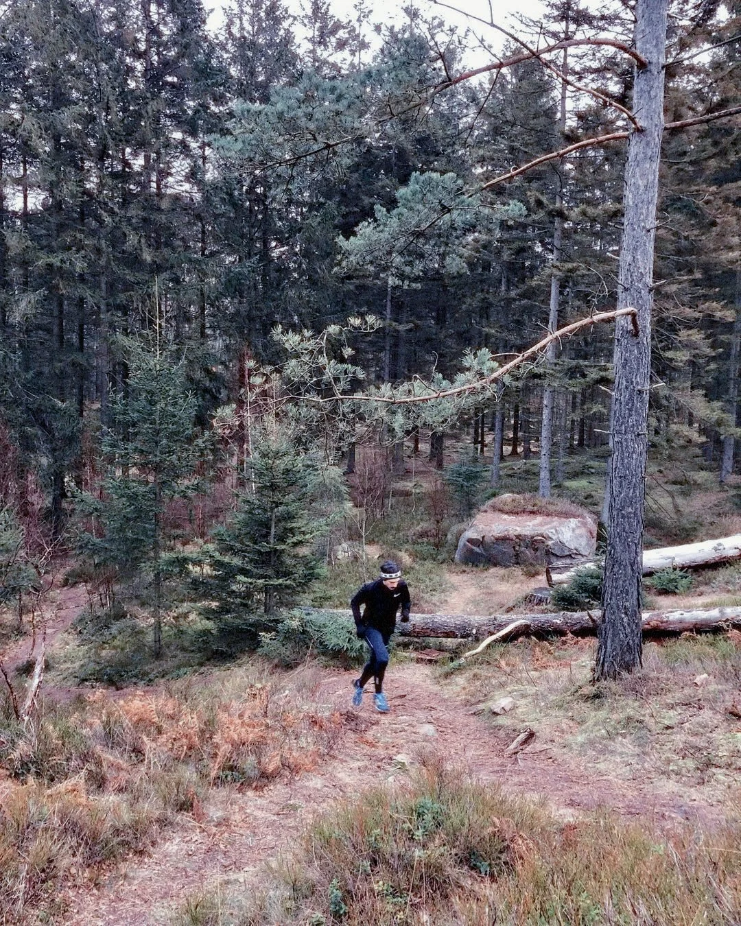 Mattia Lullini running on a dirt trail through a forest with tall trees and fallen logs.