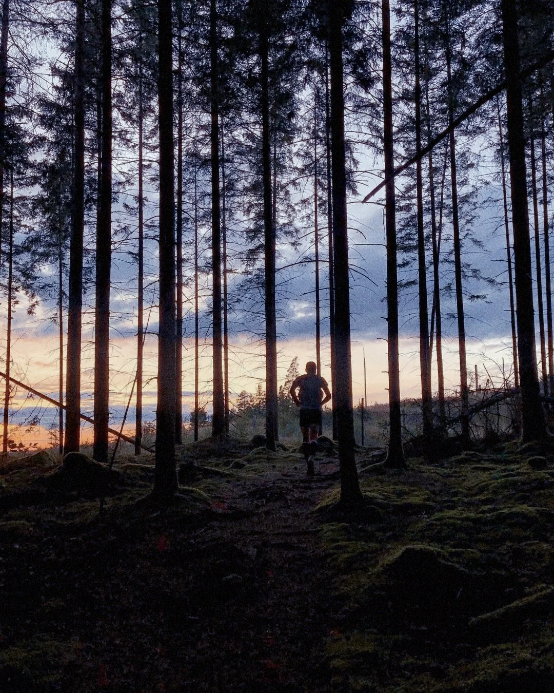 Mattia Lullini standing in a forest at sunset with tall trees and a colorful sky.