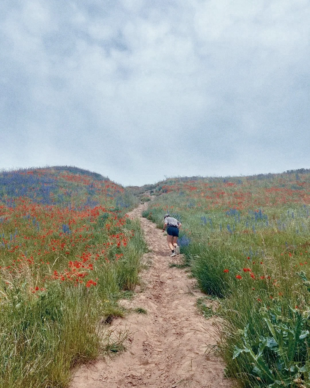 A person hiking up a dirt trail through a hillside covered in colorful wildflowers under a cloudy sky.