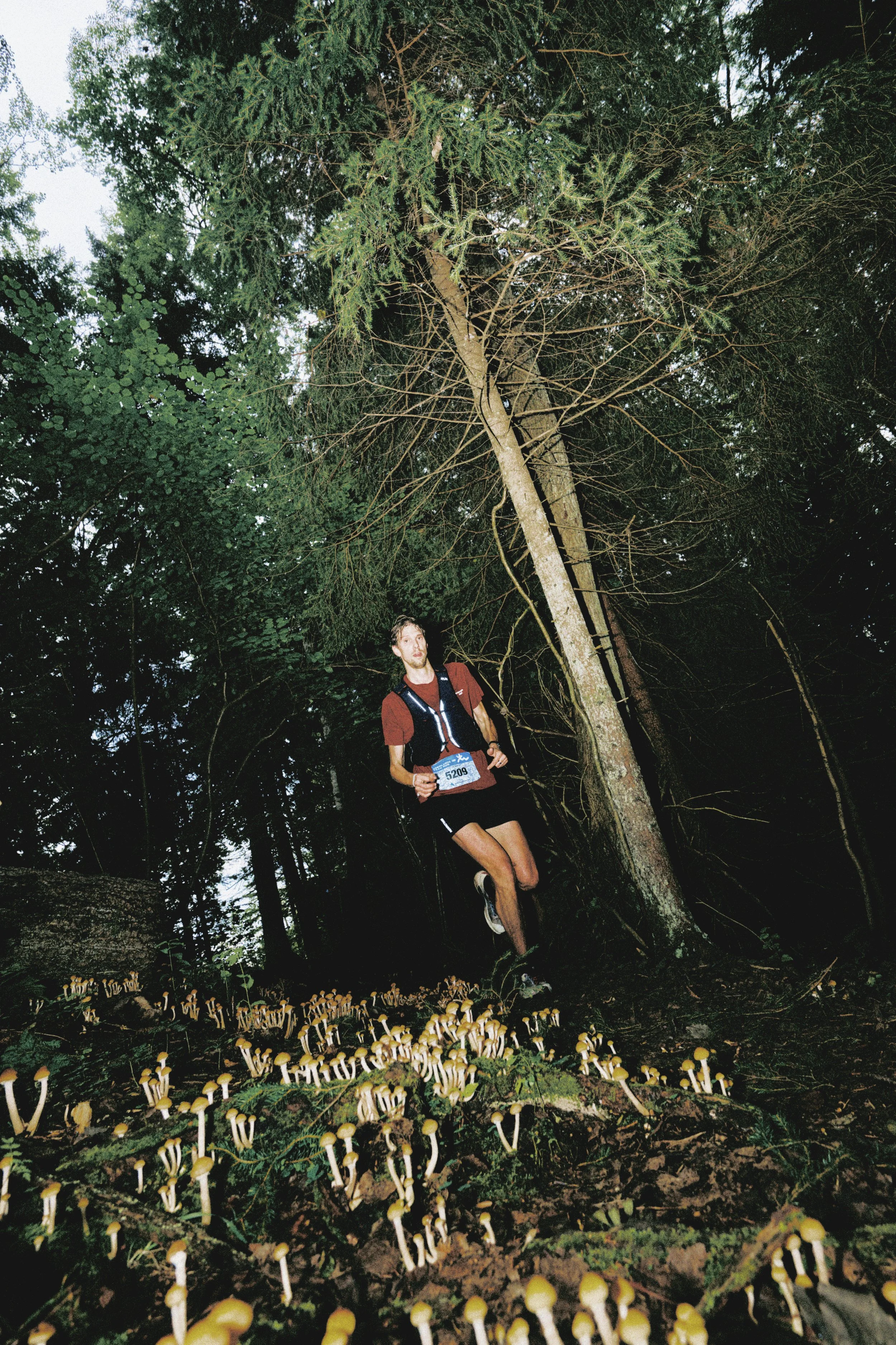 Sörmland 100 A person running through a forest trail surrounded by trees and small yellow mushrooms.