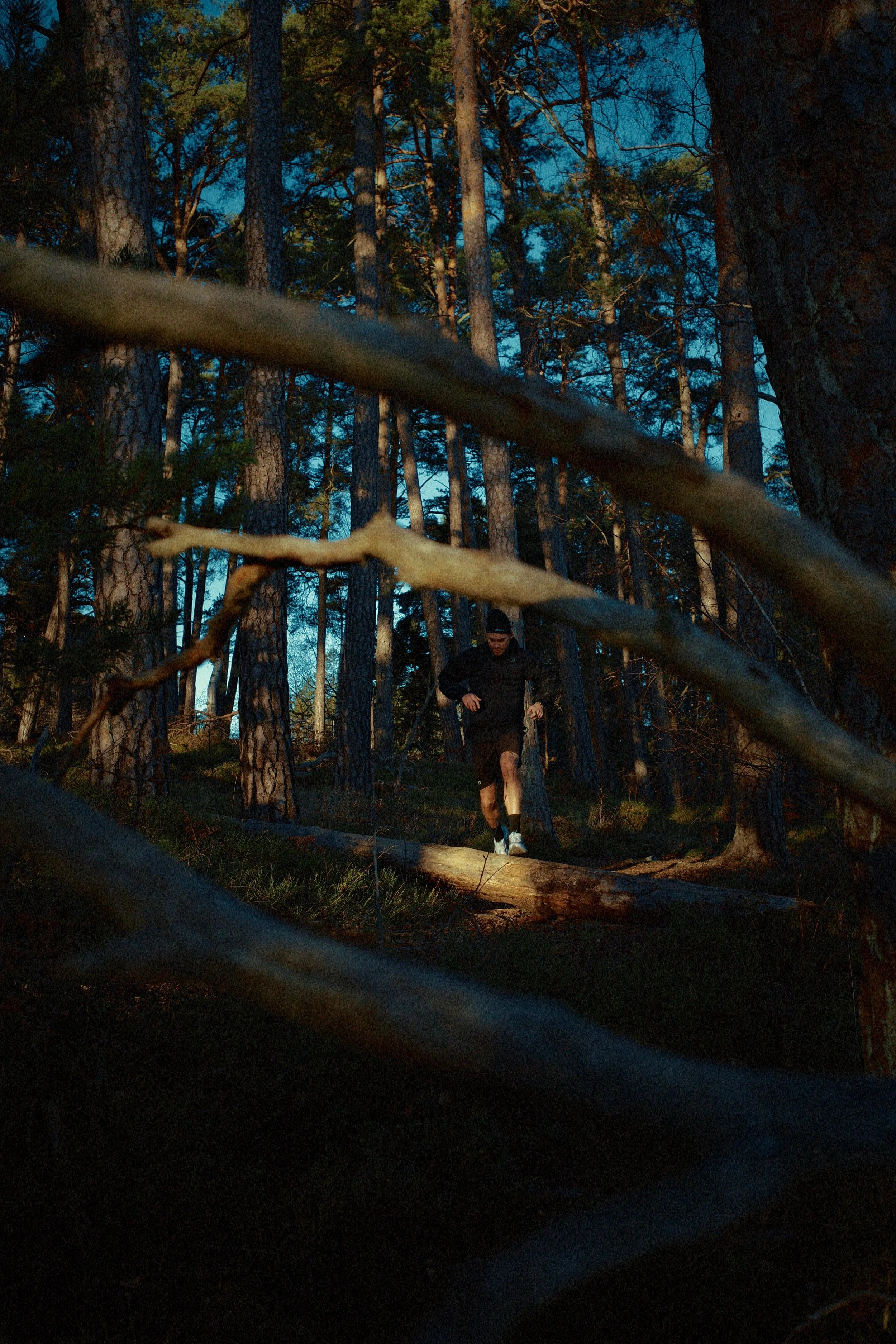 A person running on a trail in a dense forest at dusk or dawn, with tall trees and a clear blue sky in the background.