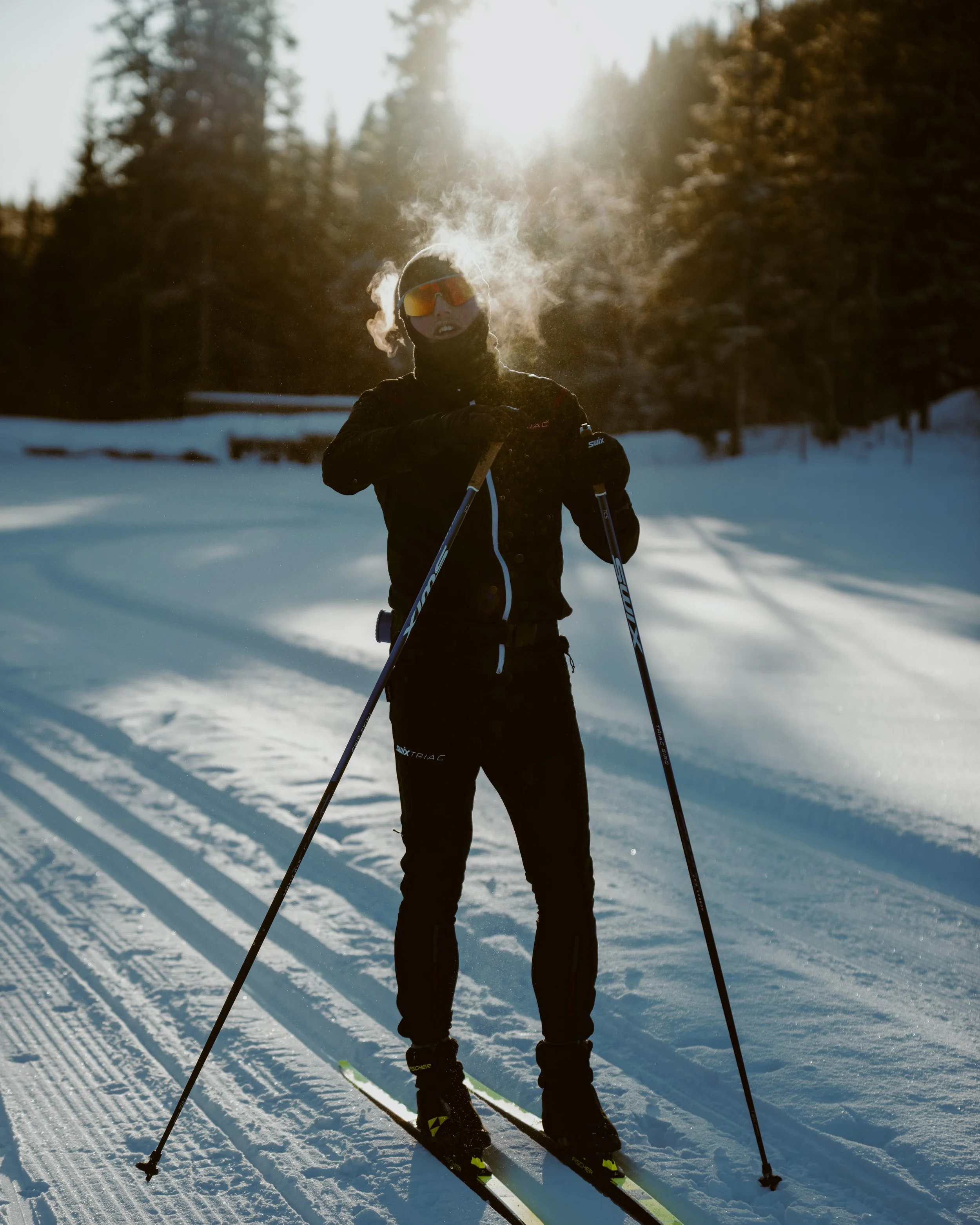 Person cross-country skiing in a snowy forest with sunlight. Wearing black winter gear, sunglasses, and holding ski poles.