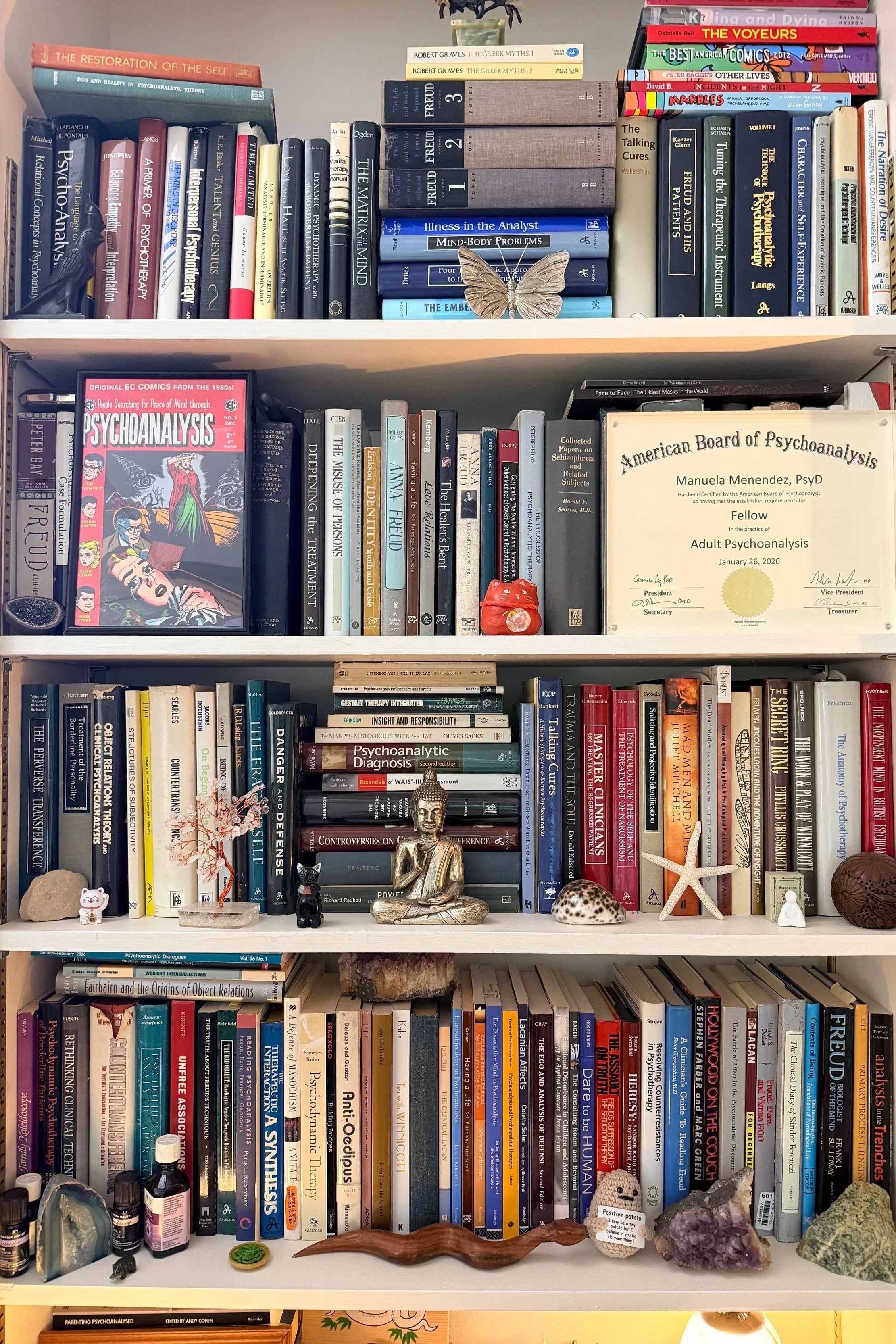 Bookshelf with various psychology and psychotherapy books, decorative items including a small Buddha statue, crystals, shells, starfish, a carved wooden animal figure, small figurines, and plants.