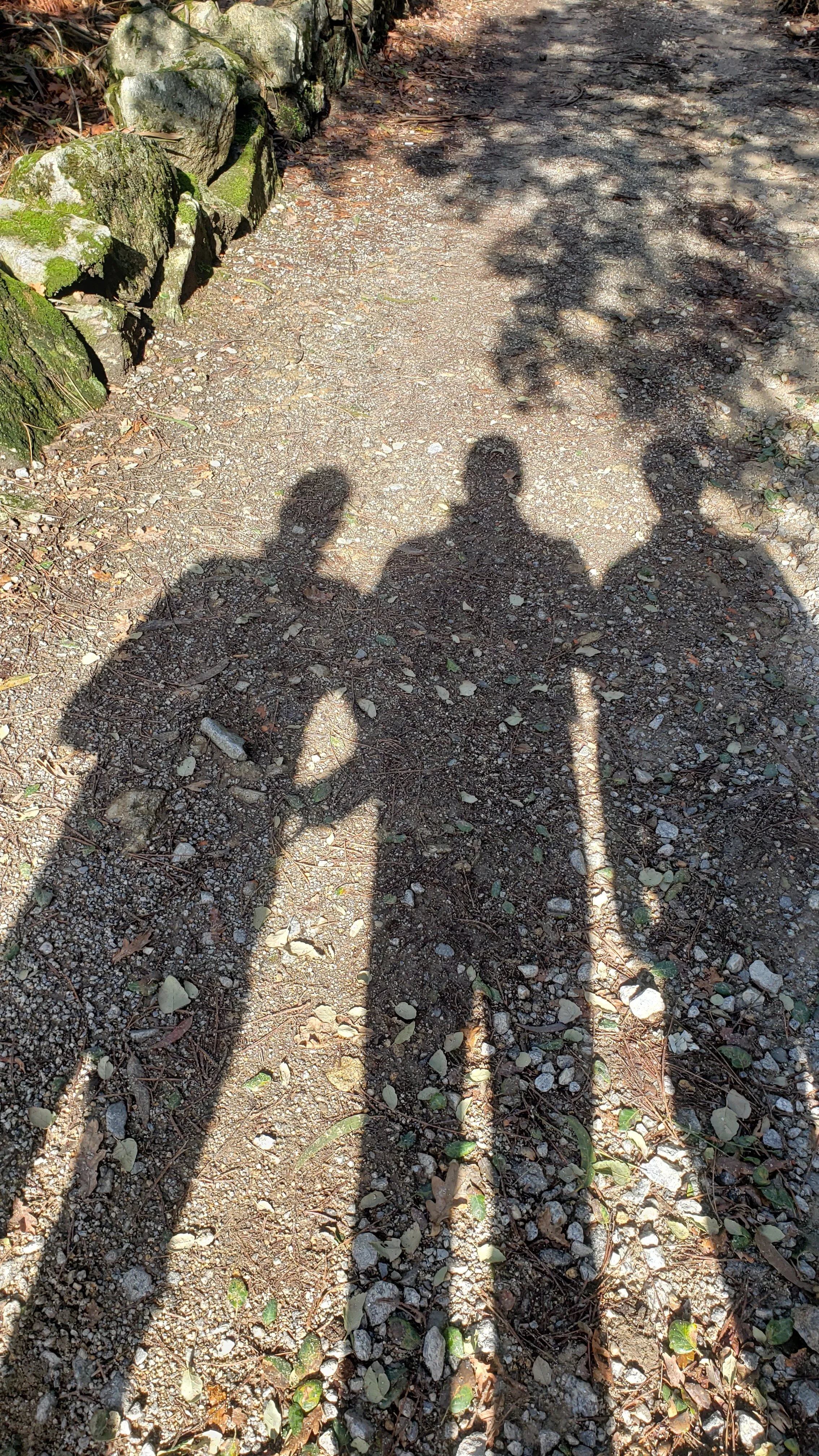 Shadows of four people on a gravel and dirt pathway, with a stone wall on the left, and trees casting shadows on the ground.