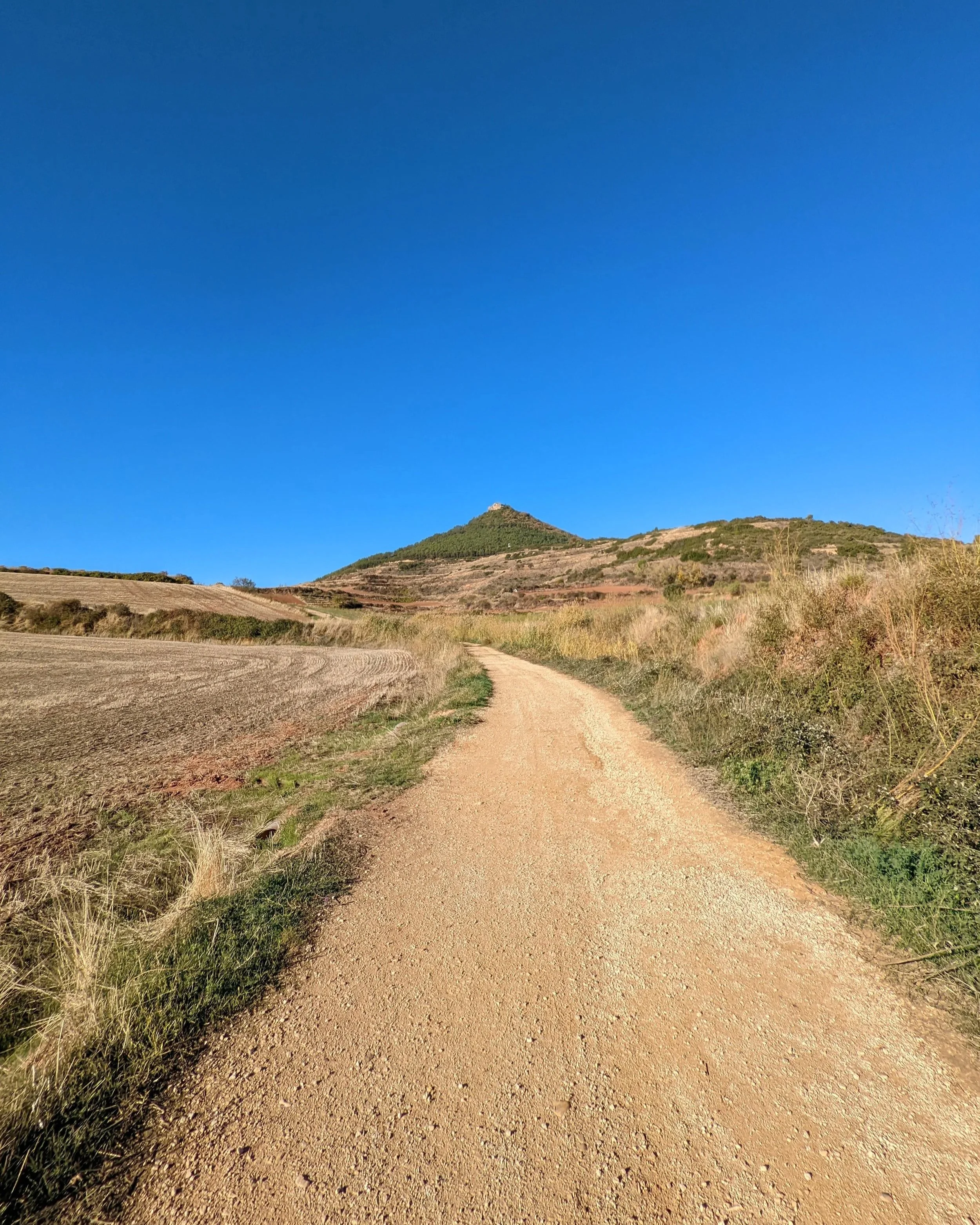 A dirt path winding through a grassy field leading towards a hill with green vegetation under a clear blue sky.
