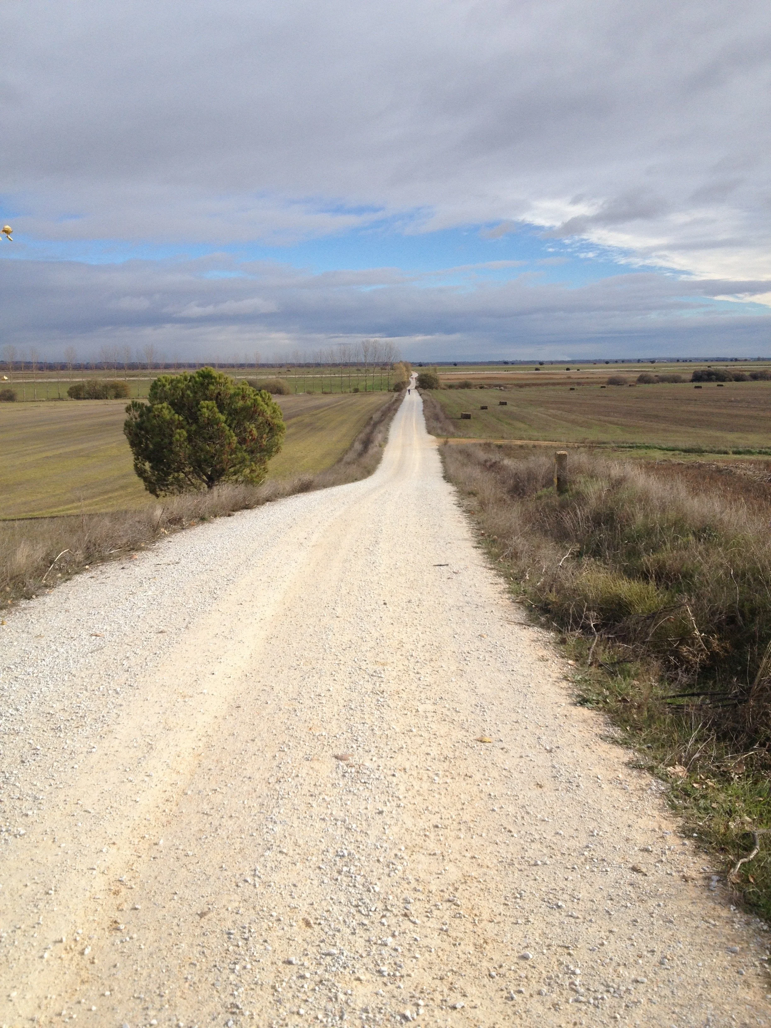 A dirt road in a rural landscape stretching into the distance, flanked by fields and a few trees, under a partly cloudy sky.