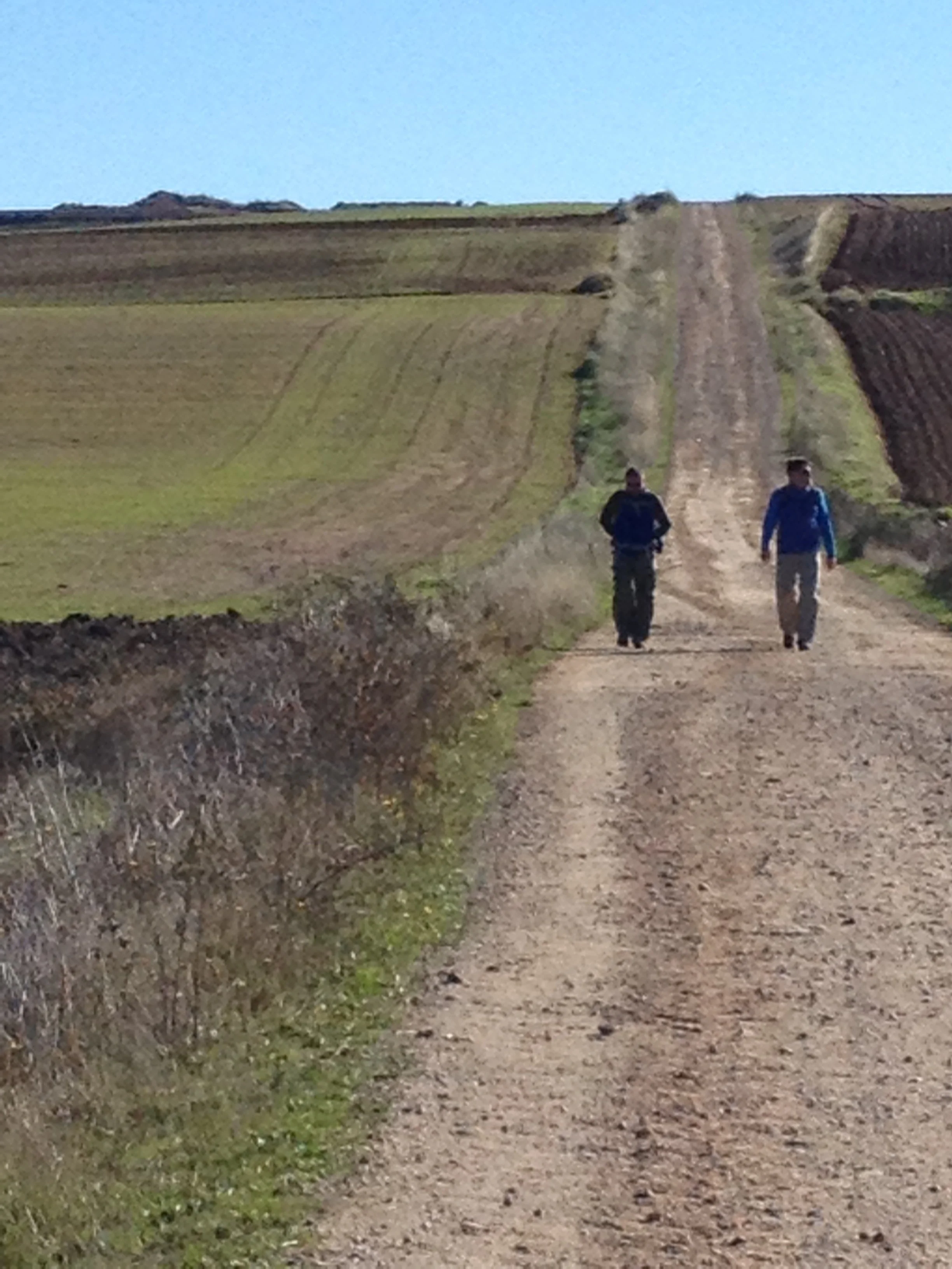 The Camino in La Rioja.  A dirt road cutting through green farmland with two pilgrims walking on it, under a clear blue sky.