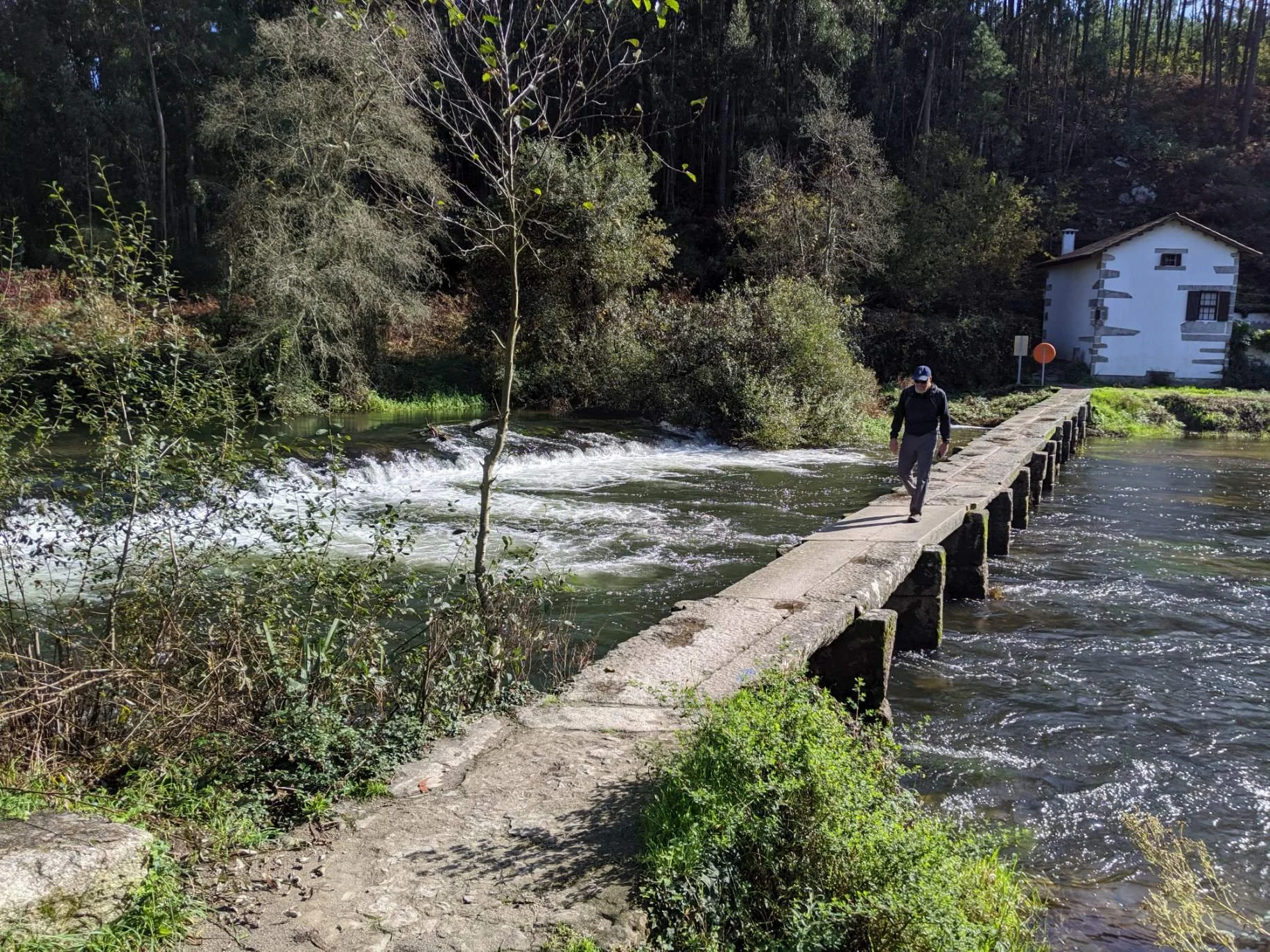 A Camino pilgrim walking on a narrow stone bridge over a flowing river, with trees and a white house in the background on the Camino Ingles.