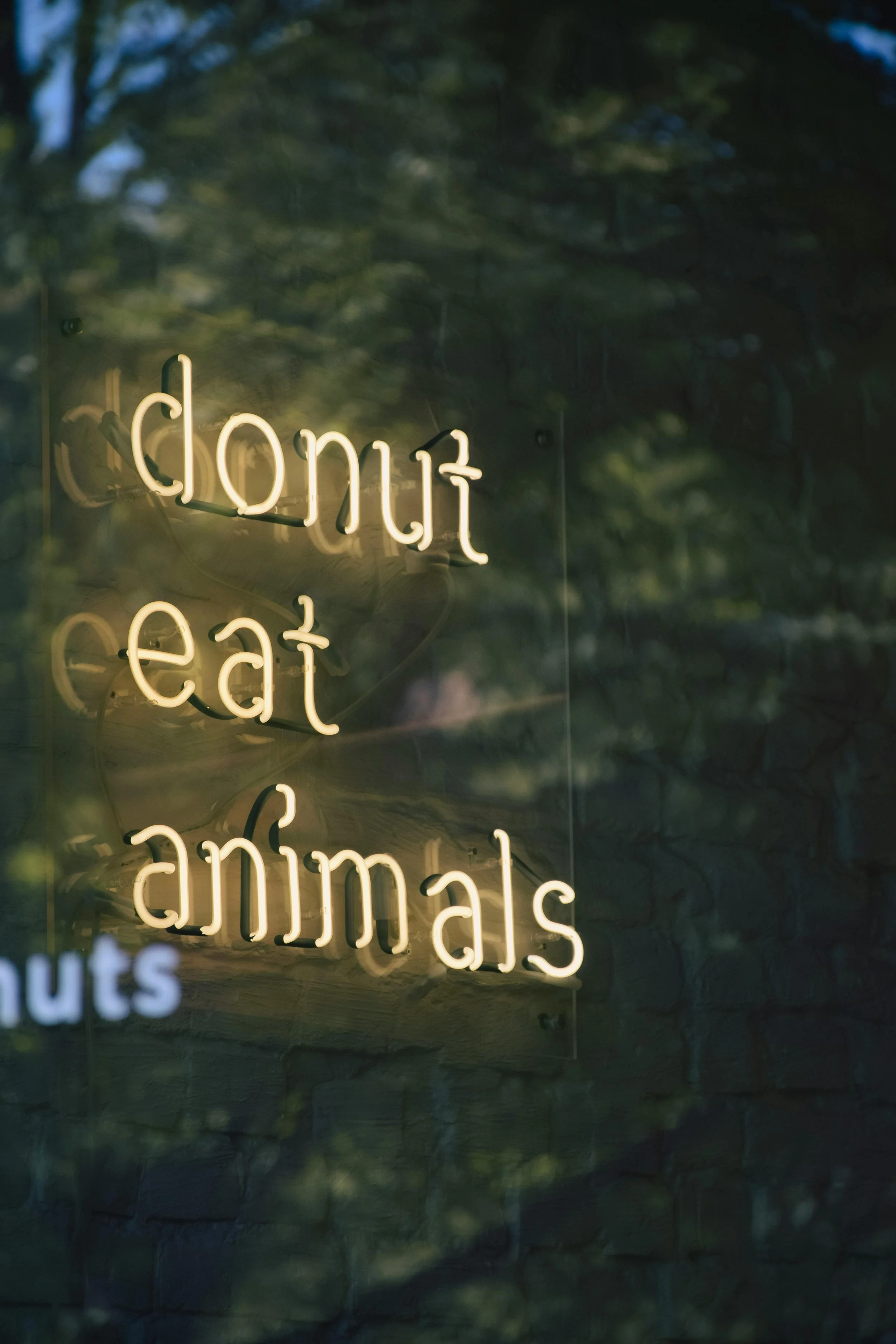 Neon sign displaying the words 'don't', 'eat', and 'animals' against a dark background with blurred green foliage.