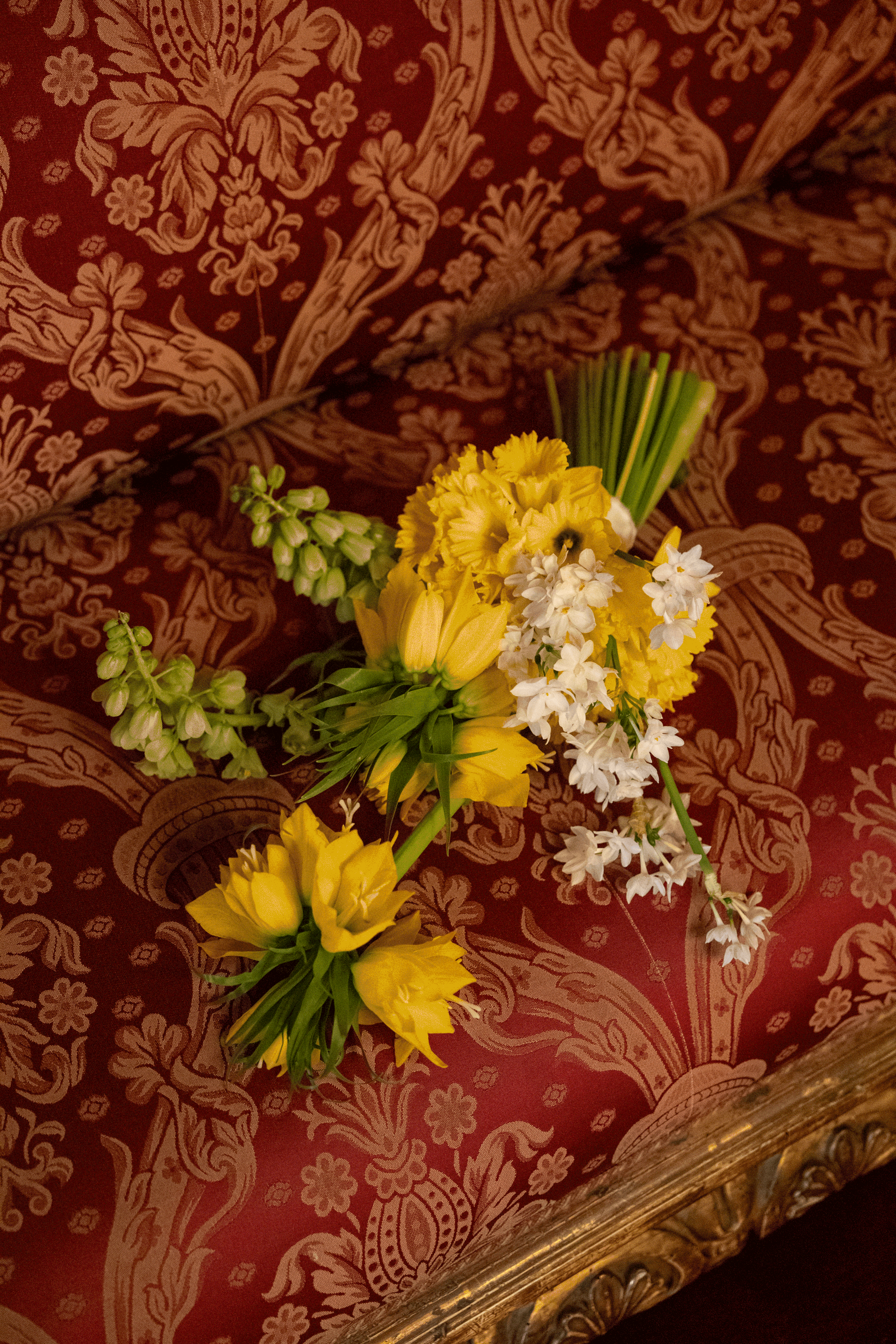 DSC05172.gif