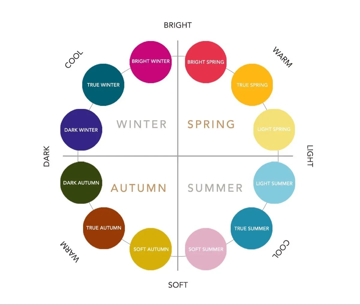 En sæsonkreds diagram, der viser farvetemaer for forskellige årstider, med vinter i venstre, forår i højre, efterår nederst og sommer øverst. Omfatter kategorier som 'True Winter', 'Bright Winter', 'Dark Winter', 'True Autumn', 'Soft Autumn', 'Soft Summer', 'Light Summer' og 'True Summer'.