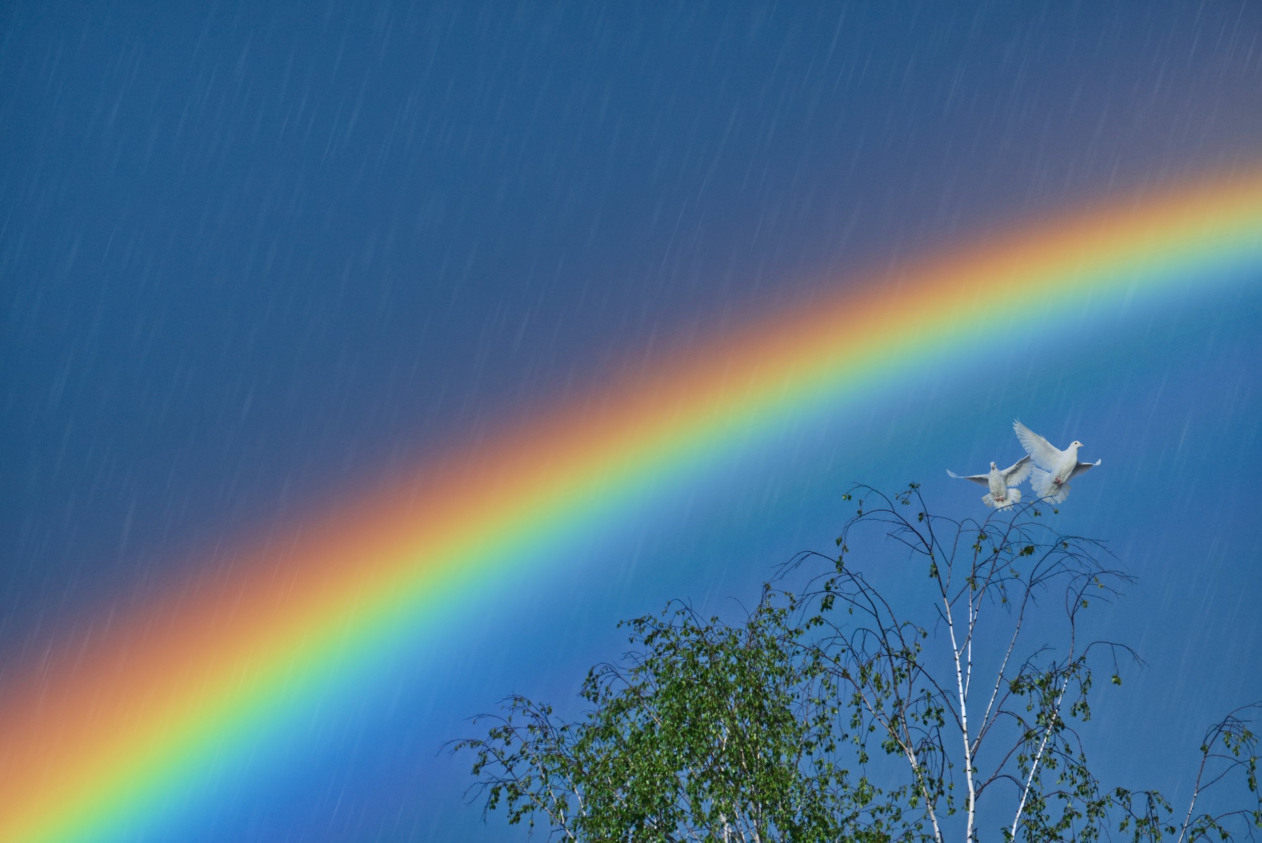 rainbow sky 3.jpg