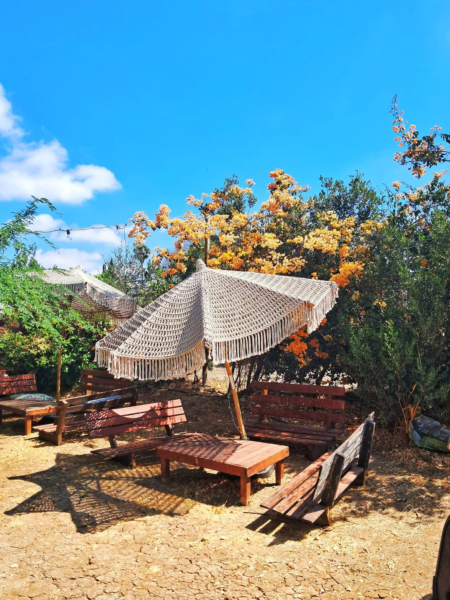 cafe flora - IL