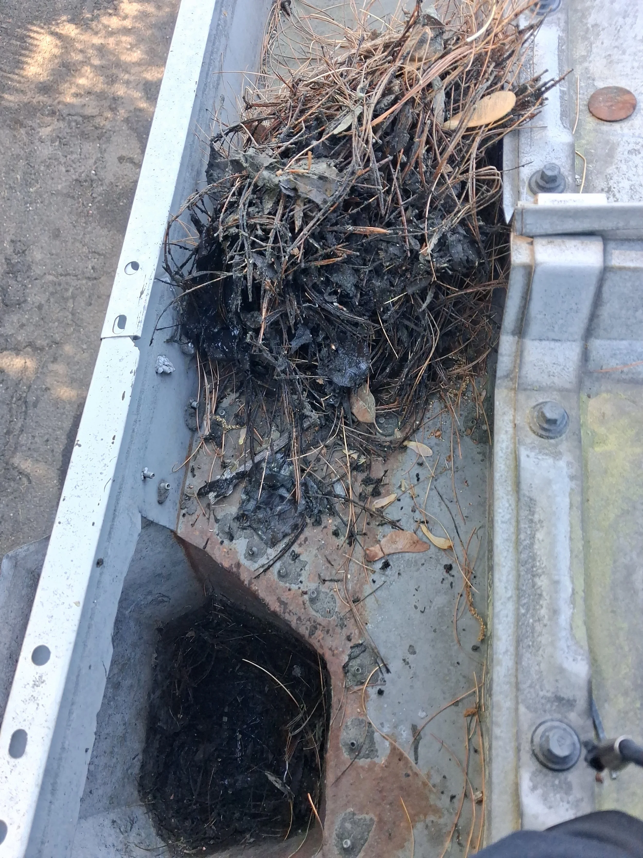 Charred remains and ashes of burnt debris on a metal surface, with burnt sticks and leaves scattered around.