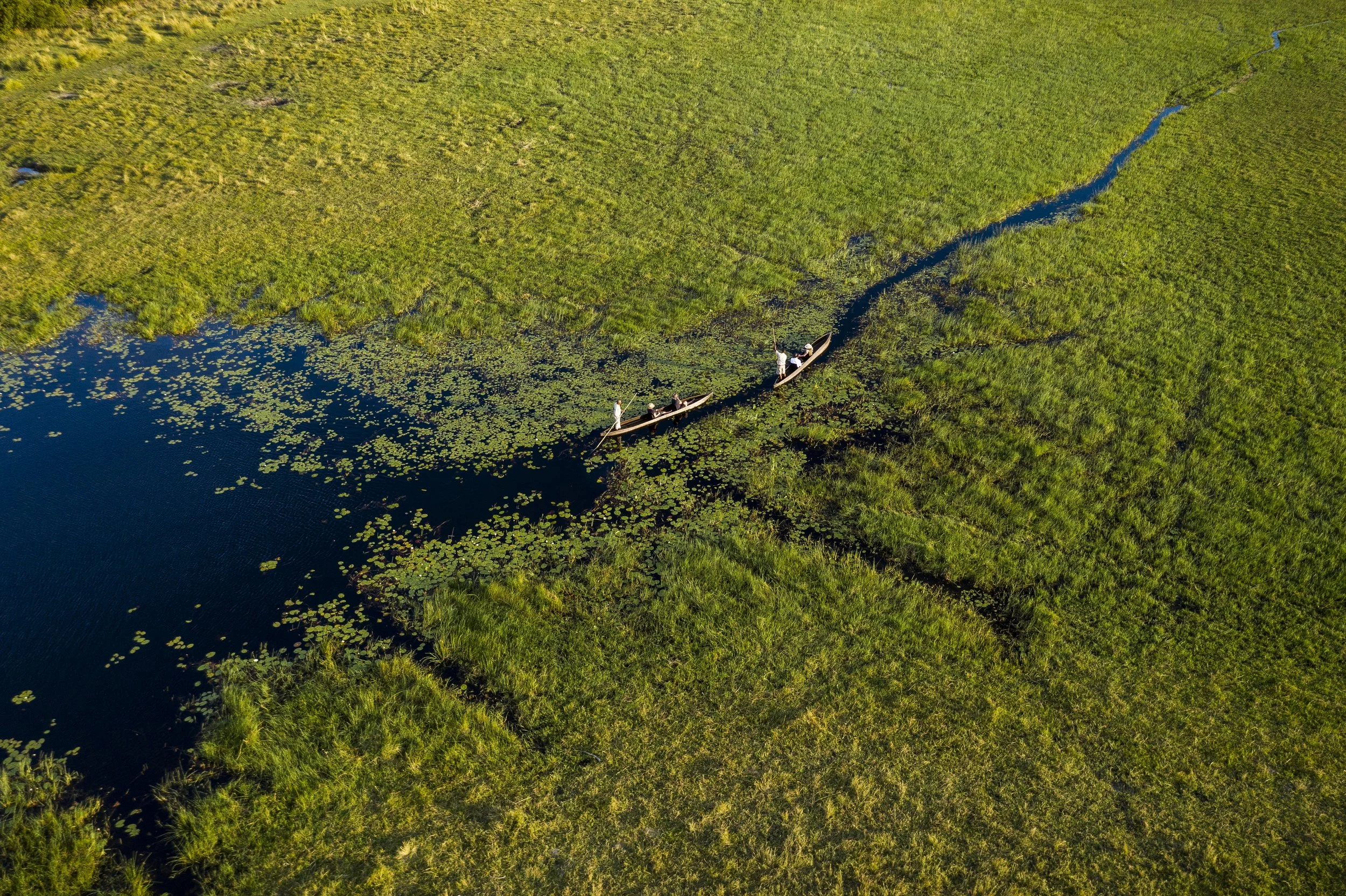 Aerial view of a wetland or marsh area with green vegetation, a small winding waterway, and four people in boats. Africa. Botswana.