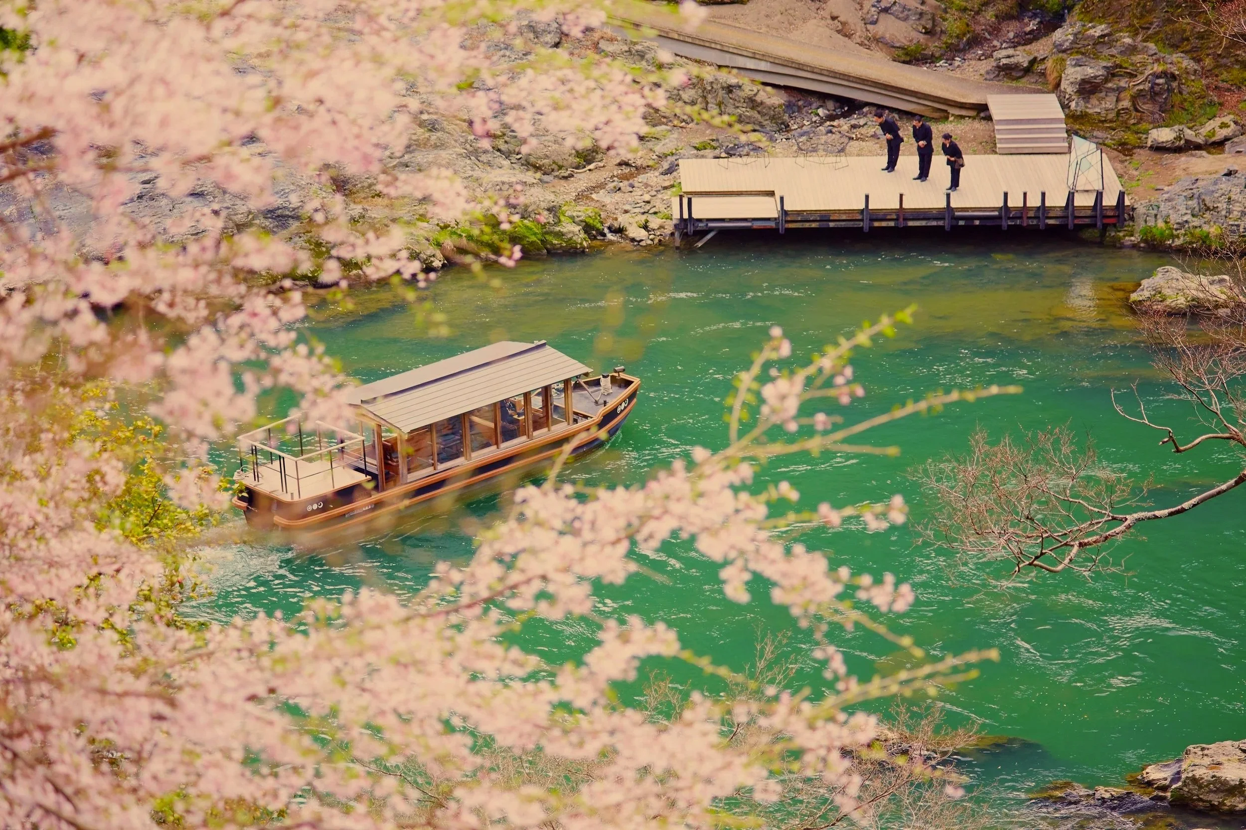 A scenic view of a river with turquoise water, pink flowering trees in the foreground, a boat on the water, and a wooden dock with four men standing on it. kyoto