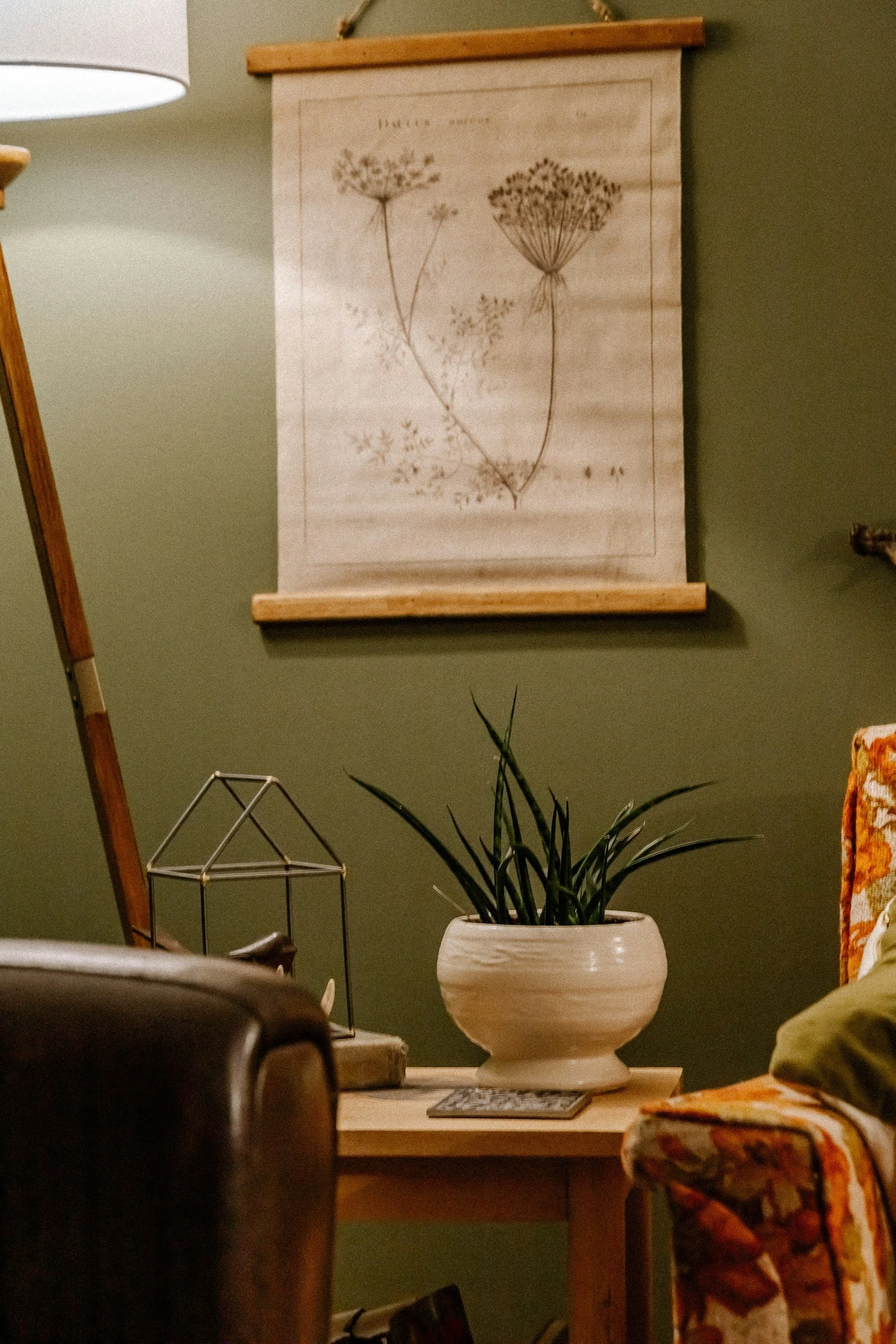 A white flower vase with green plant on a wooden table, against a green wall. Behind the plant is a framed botanical print of dried plants hanging on the wall.