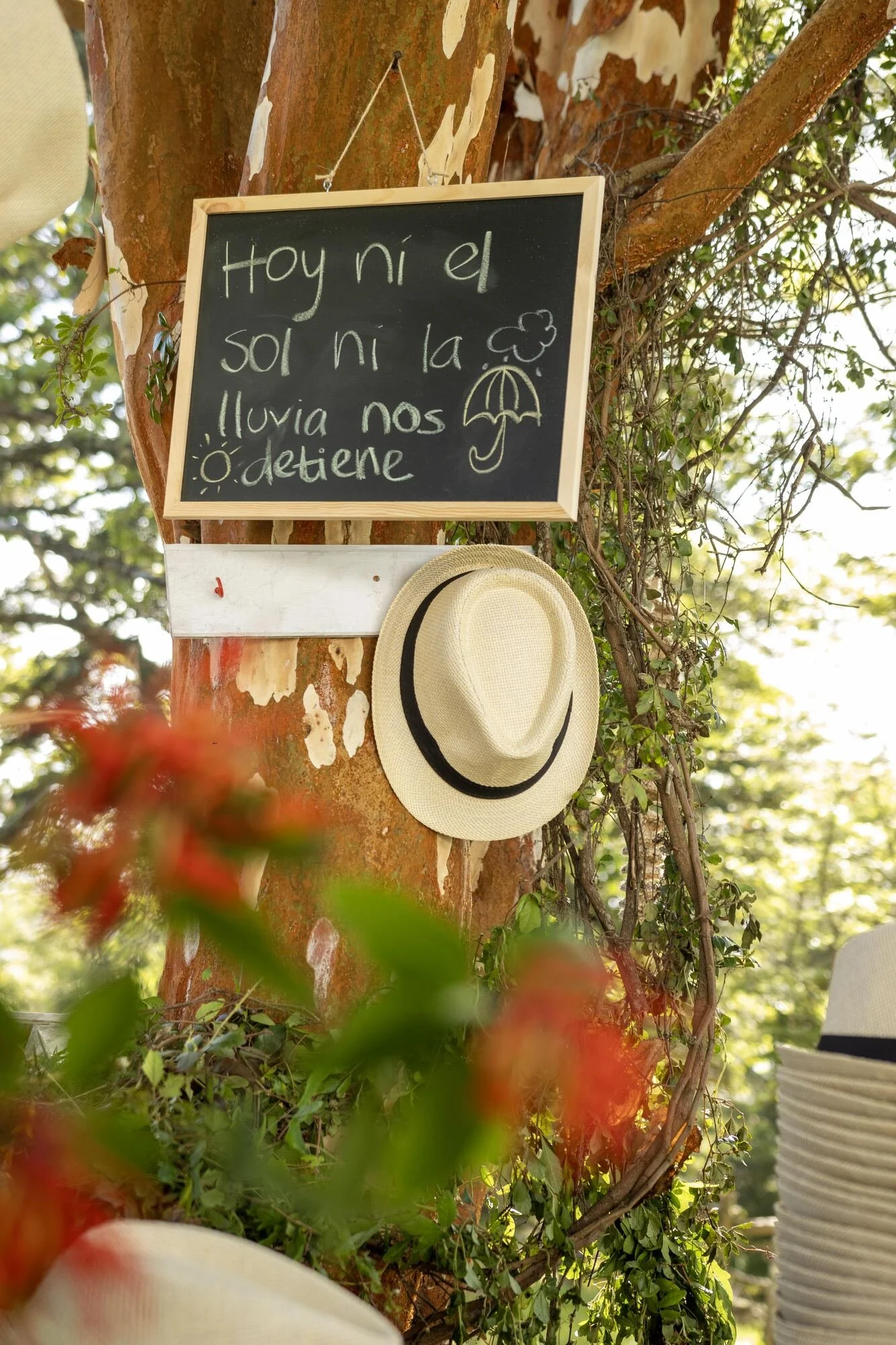 Letrero de pizarra con mensaje de bienvenida colgado en un árbol, Quilquico, Castro	