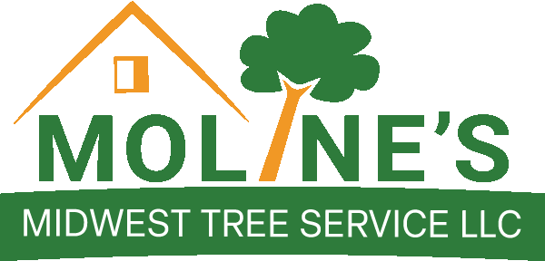 Moline's Midwest Tree Service LLC