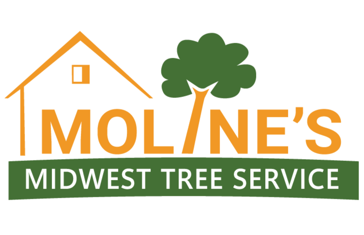 Moline's Midwest Tree Service LLC