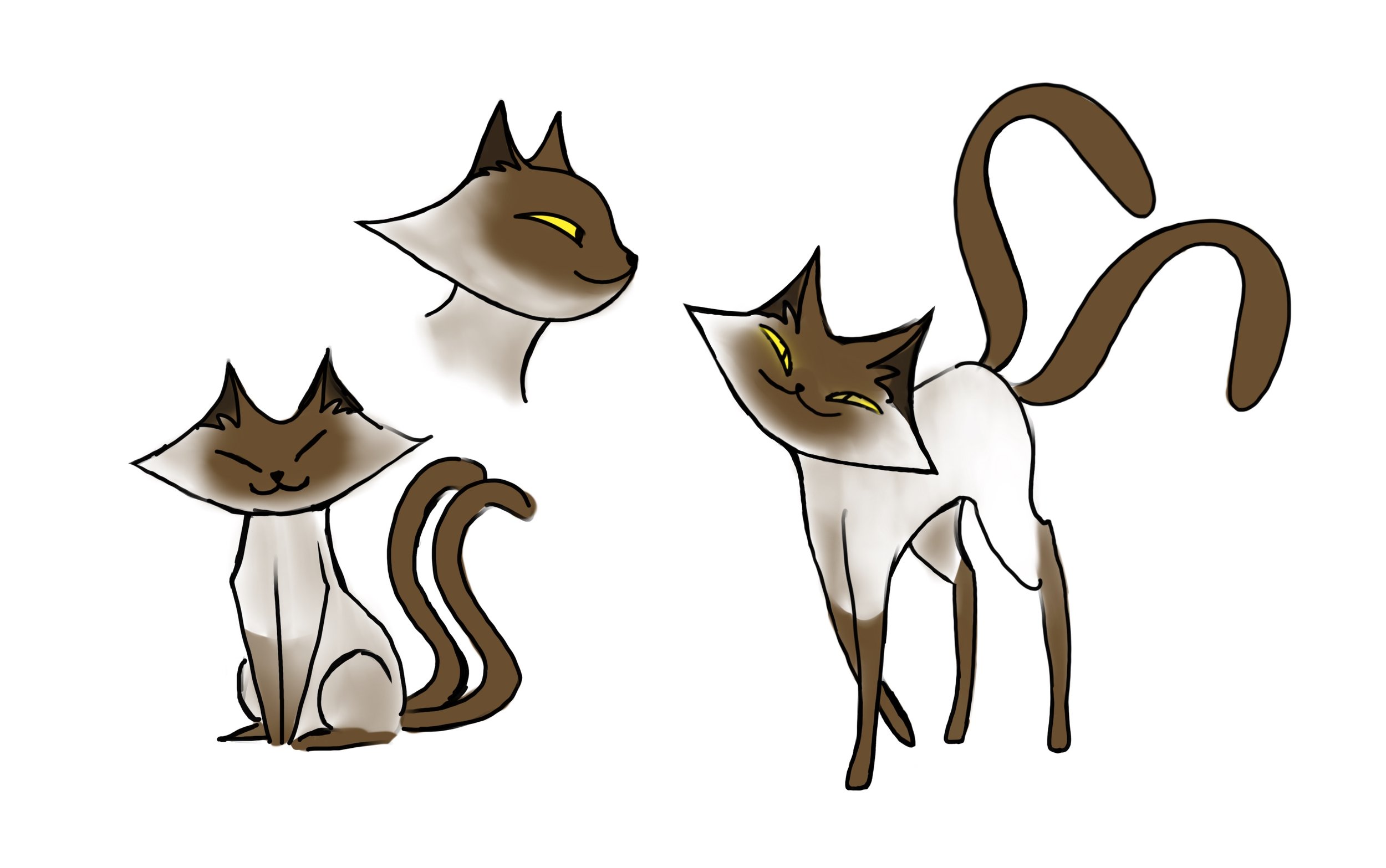 Hannah Roth - Siamese Character Sheet.jpeg