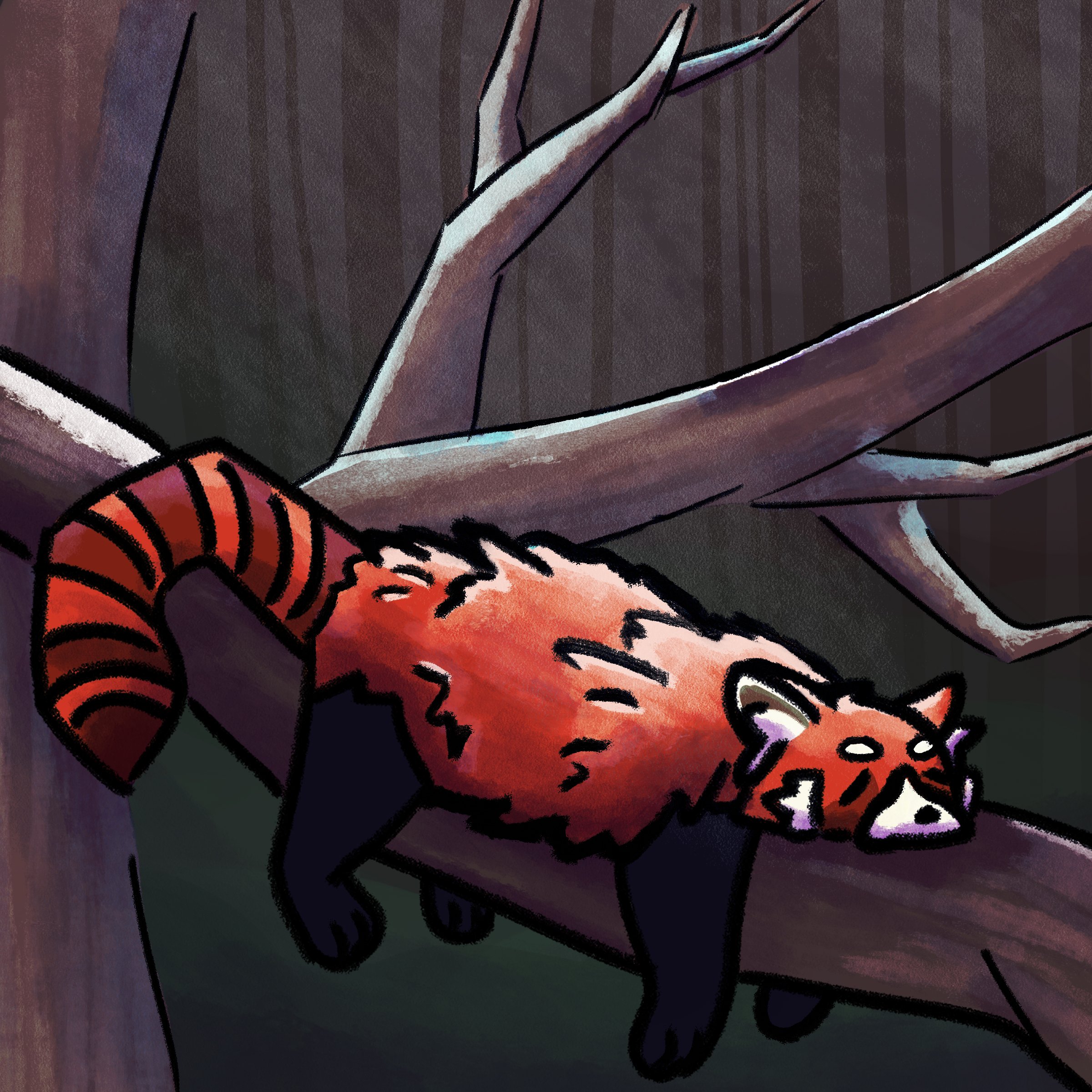 Hannah Roth - Red Panda.jpeg