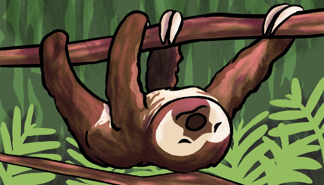 Hannah Roth - Sloth.jpeg