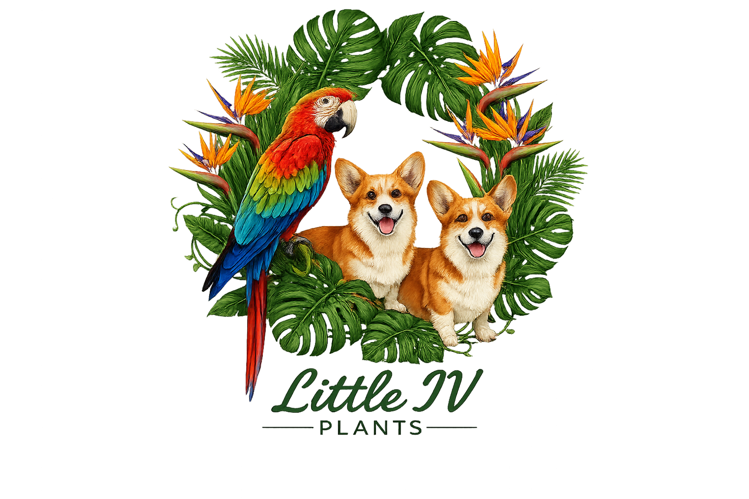 Little IV Plants