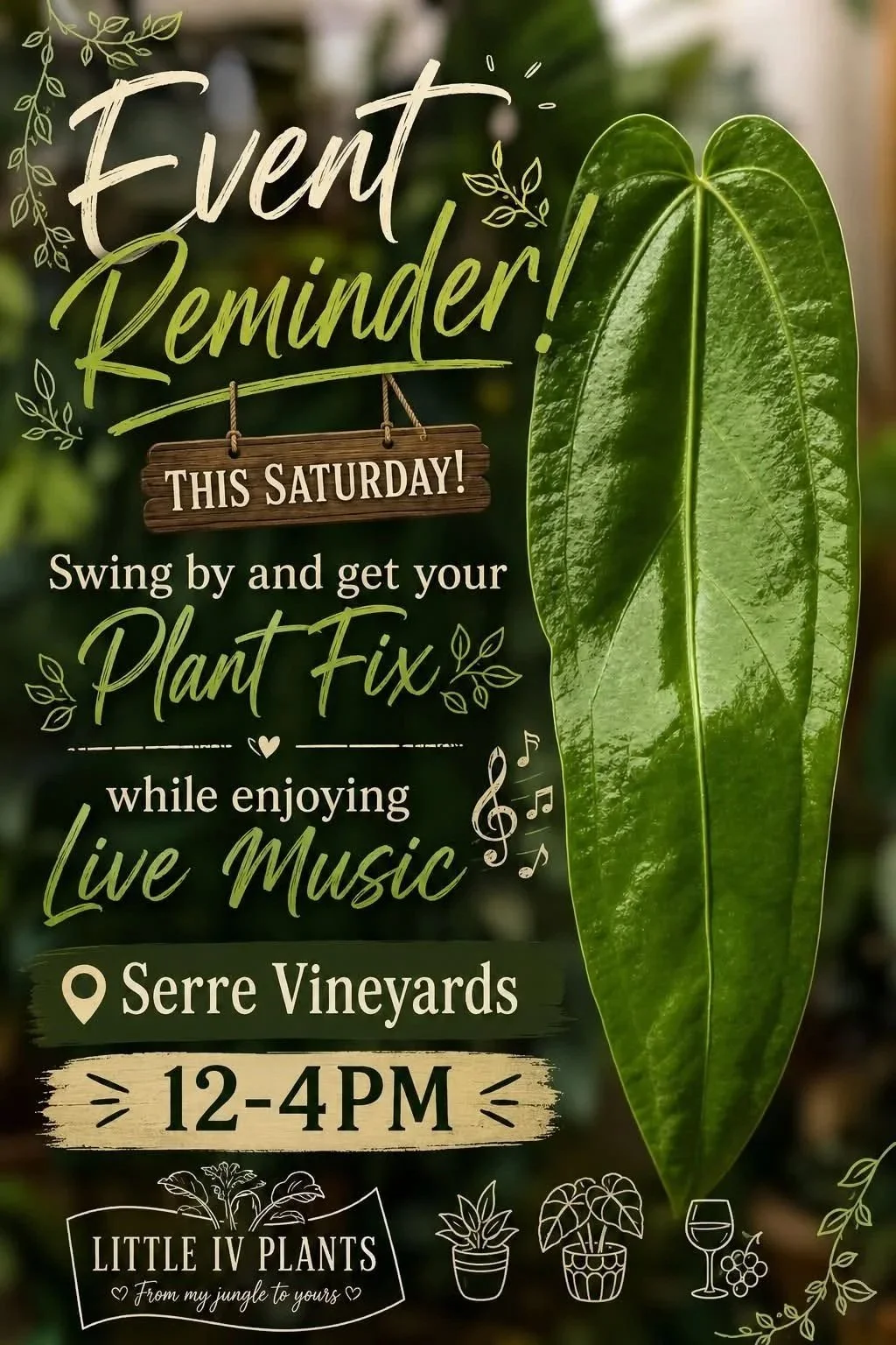 Pop-up @ Serre Vineyard