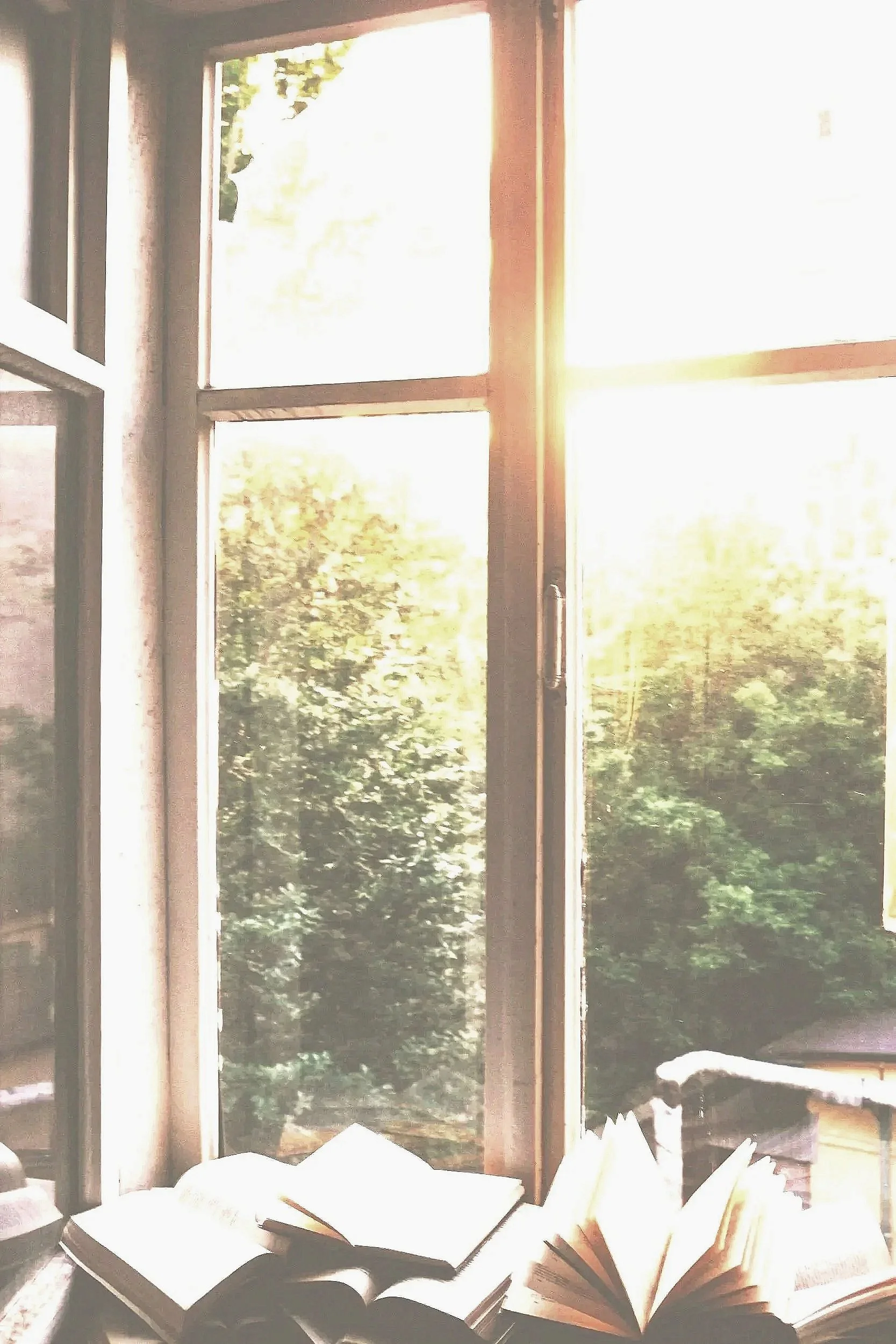 Wellness coaching self relection and personal growth