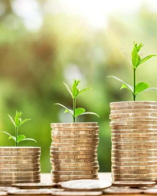 Coins stacked in three piles with small green plants growing from each pile, symbolizing growth and financial investment