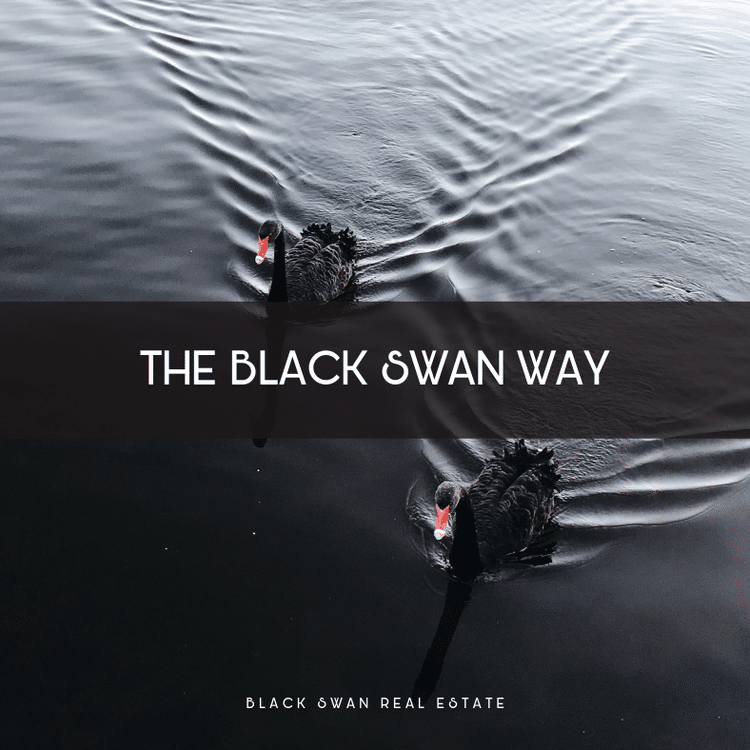 Two black swans swimming in dark water with ripples surrounding them, overlaid with text 'The Black Swan Way' and 'Black Swan Real Estate'.