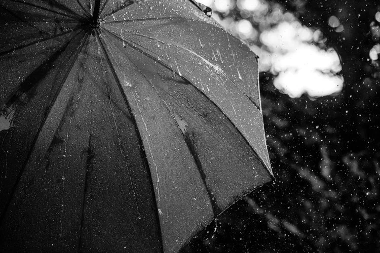 A close-up of a black umbrella with raindrops on it during a rainy day.