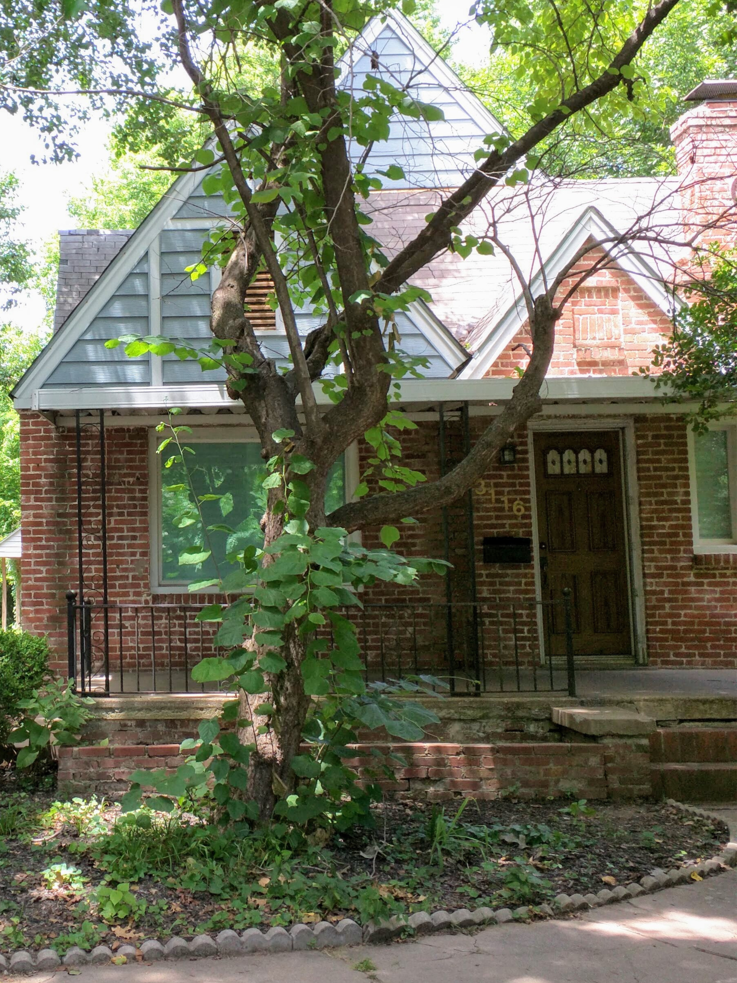 The very first home of Lisa's house Ministries. an old red brick house with a welcoming front porch and large tree in front.