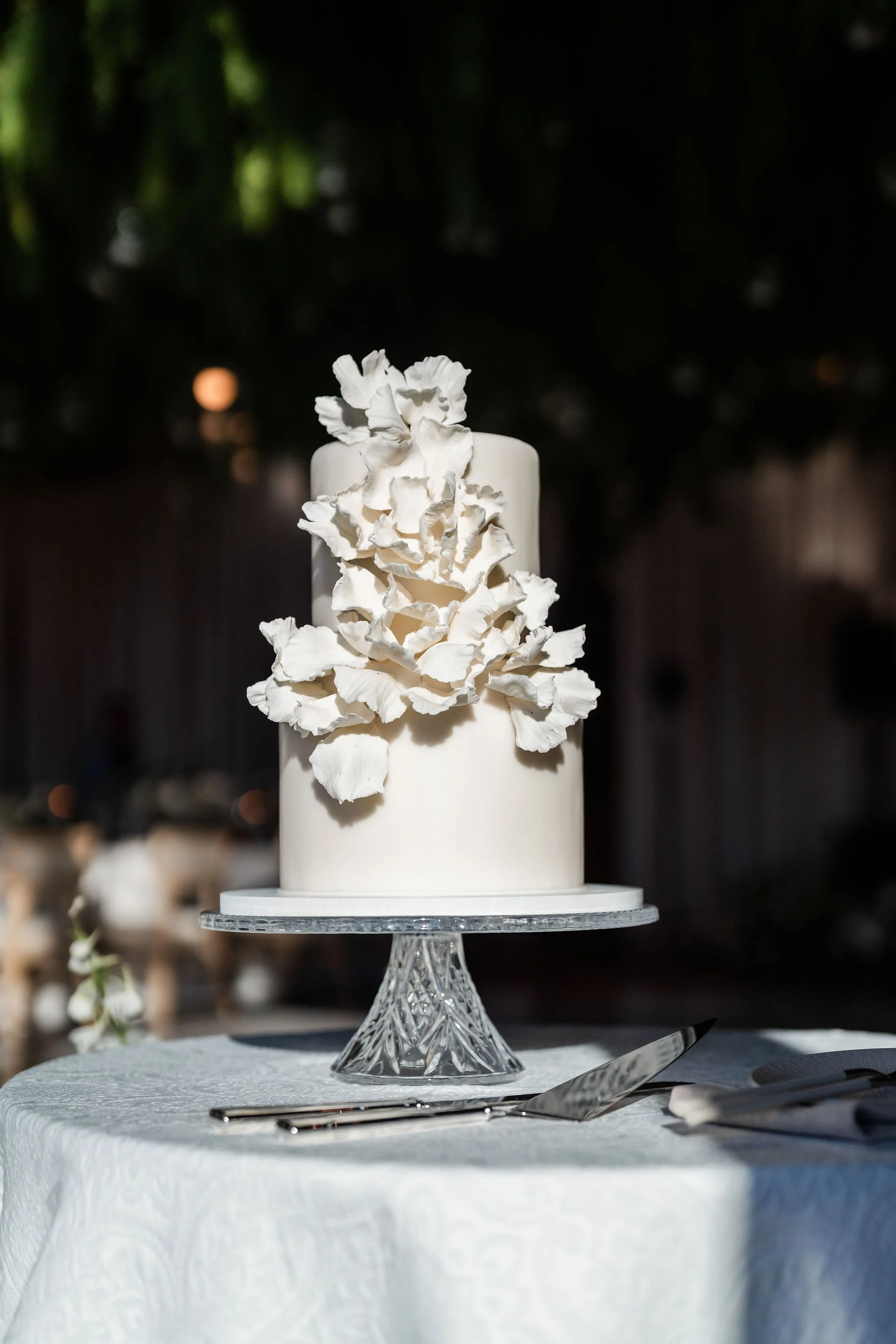StephanieLynnCo-ShireenTom-ReceptionDetails-59.jpg