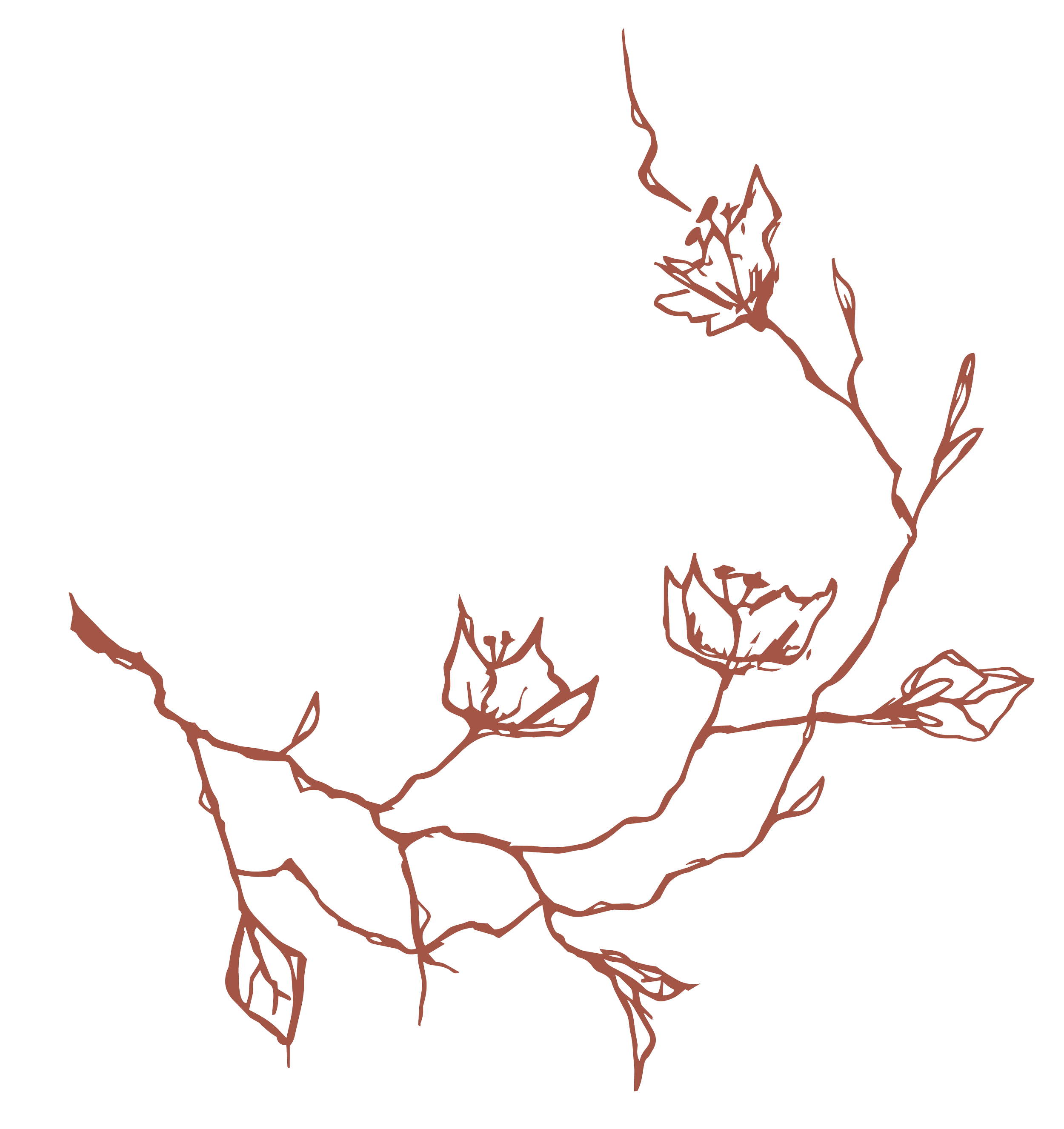 Outline of tree roots drawn on a black background in brown.