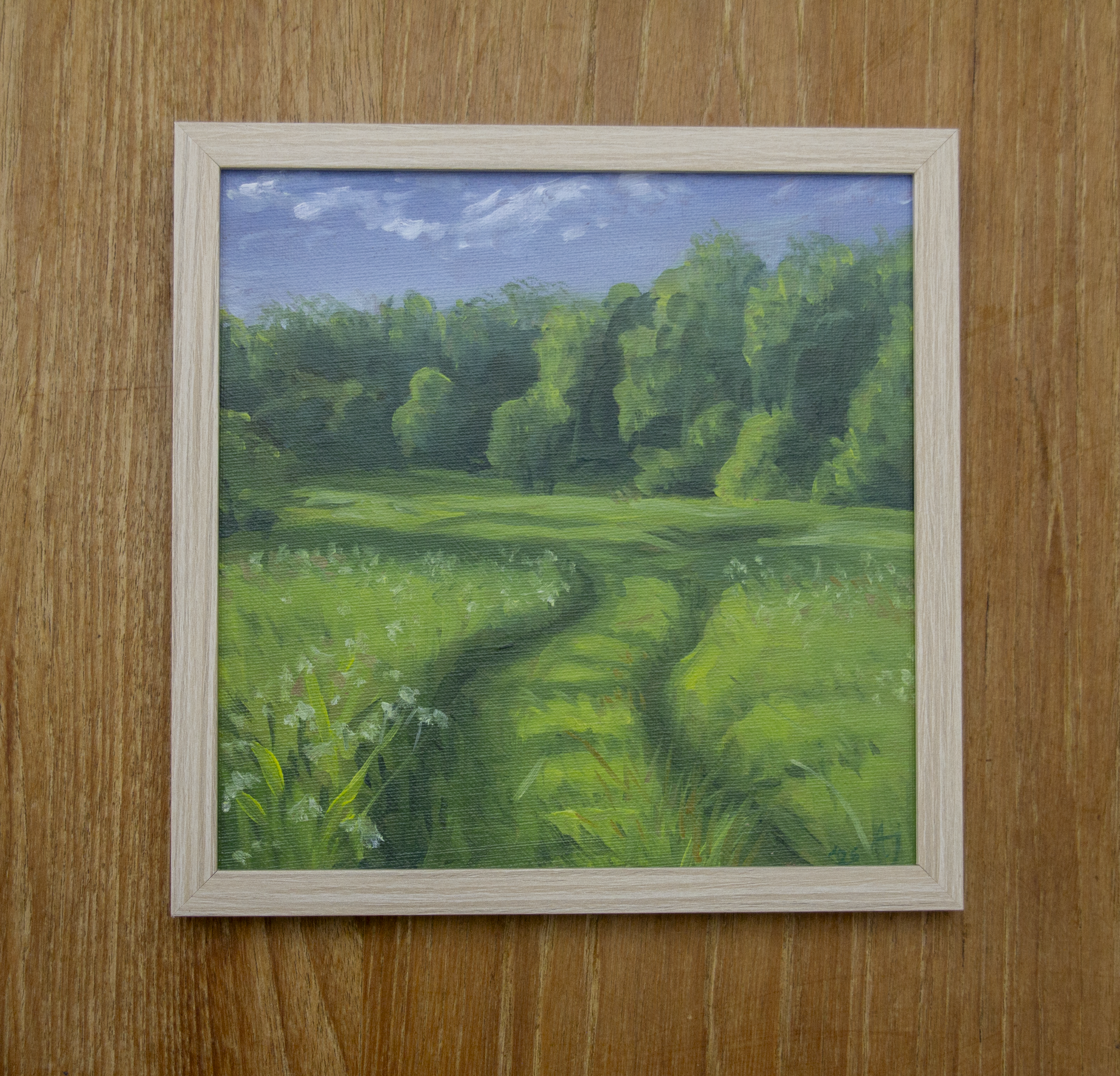 Summer Meadow