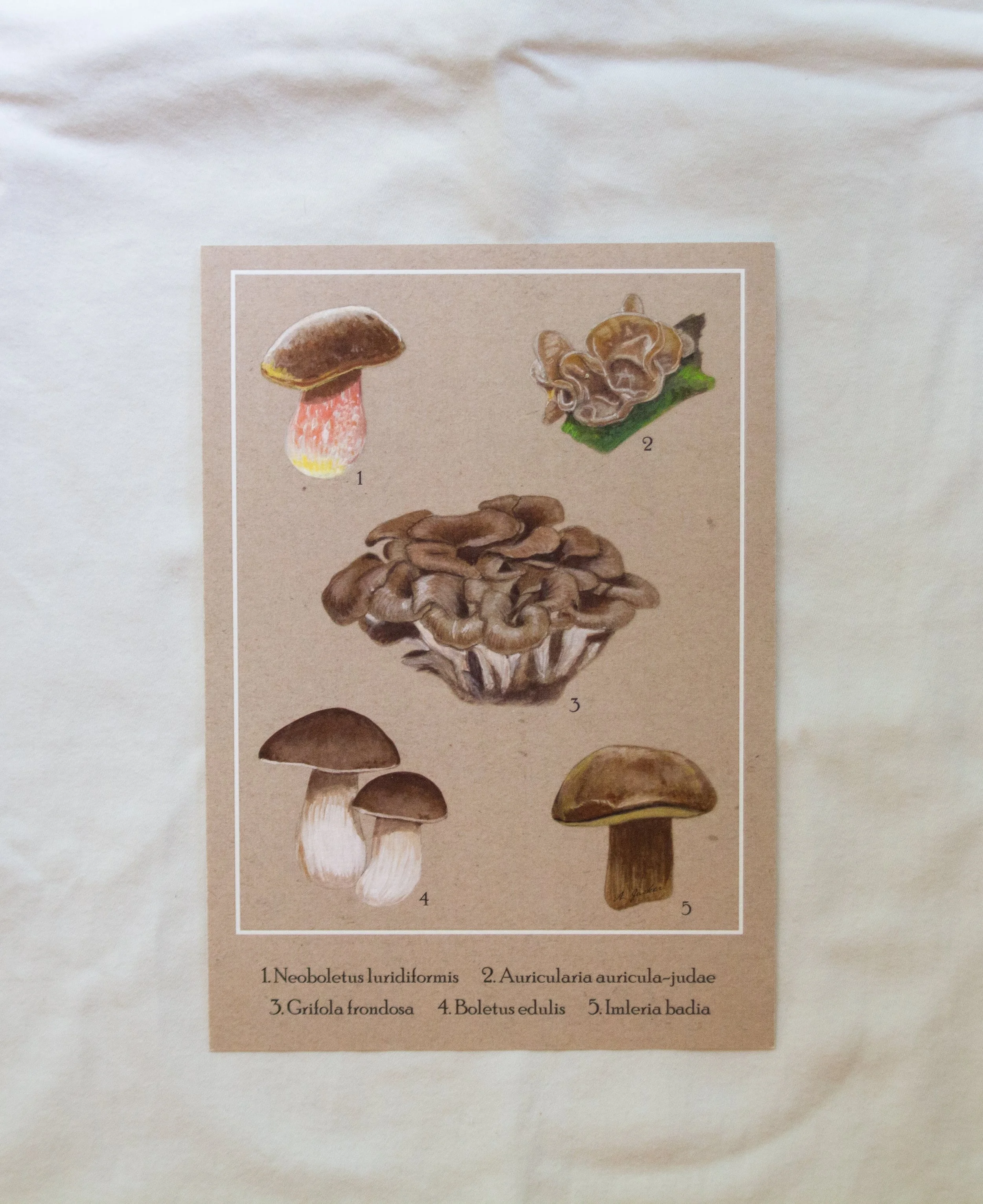 prints sep 2025-11.jpg