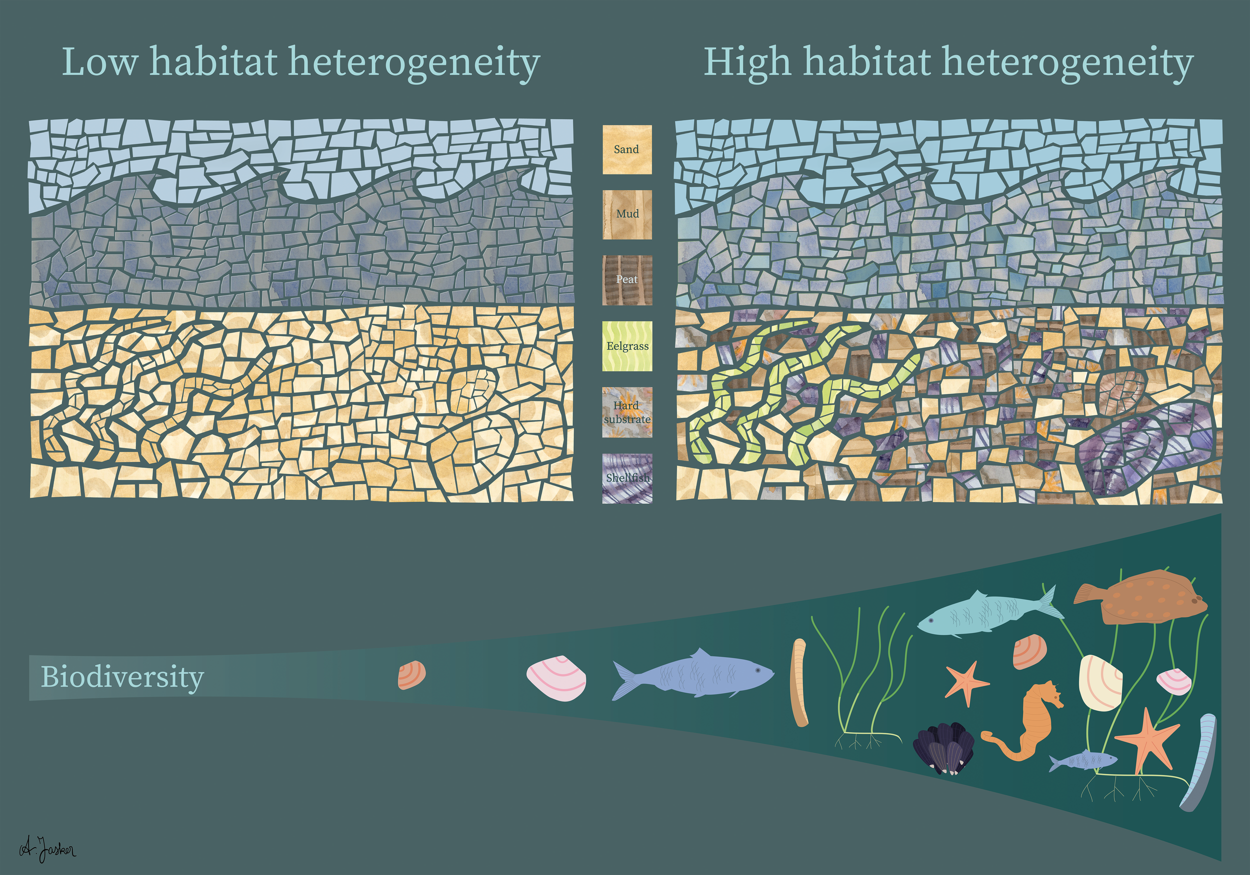 I also explored different styles in which to convey scientific information. Since the research project for which these illustrations were designed was called 'the Wadden mosaic', I wanted to incorporate a mosaic of sorts into one of the illustrations