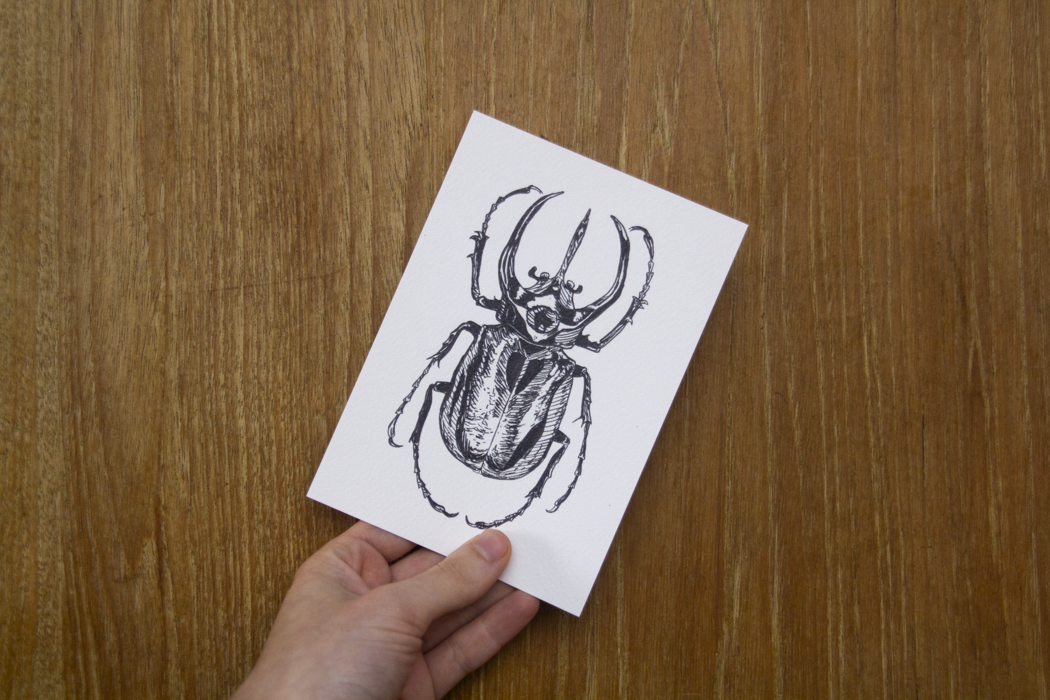 22 okt producten-51.png