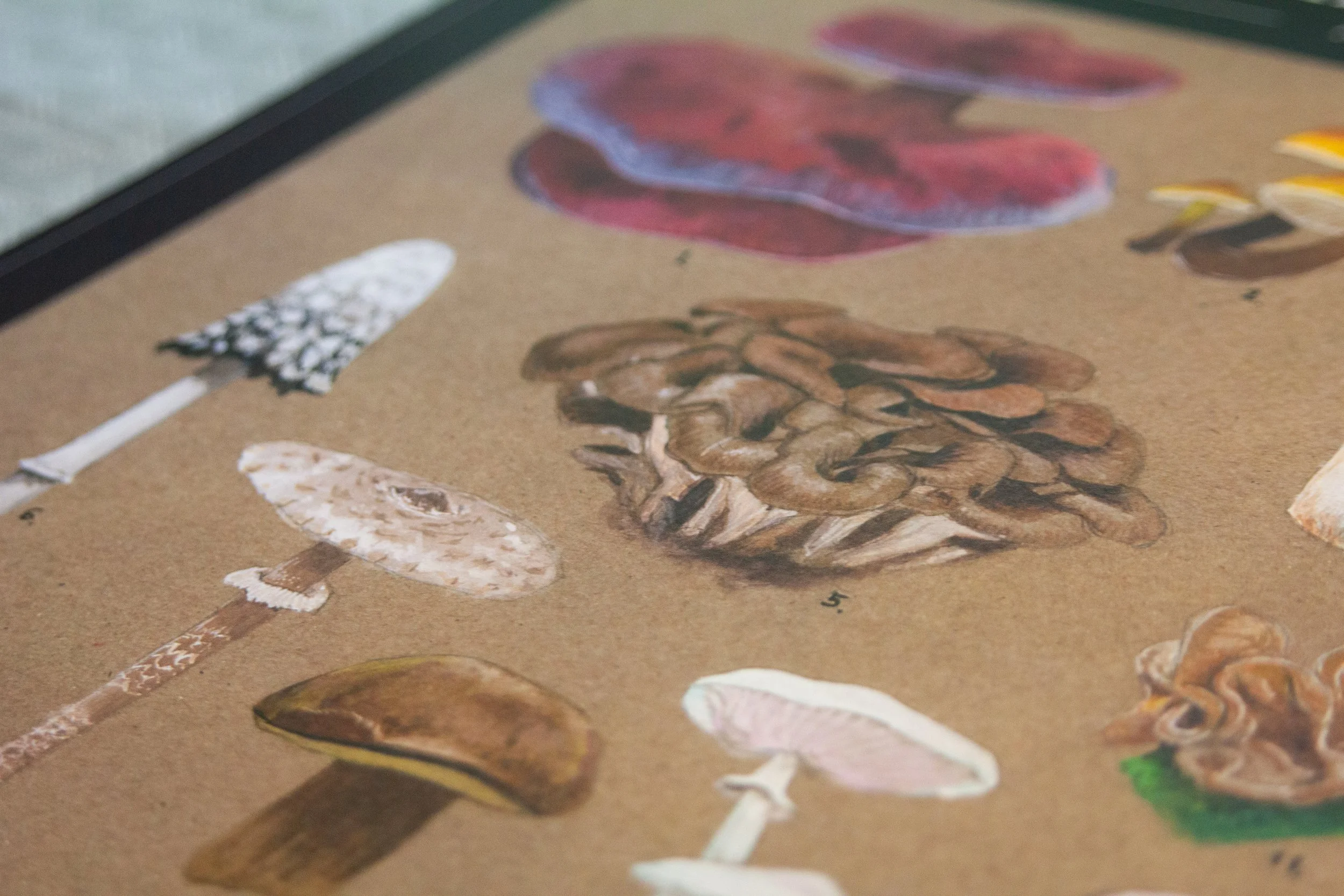 prints sep 2025-33.jpg