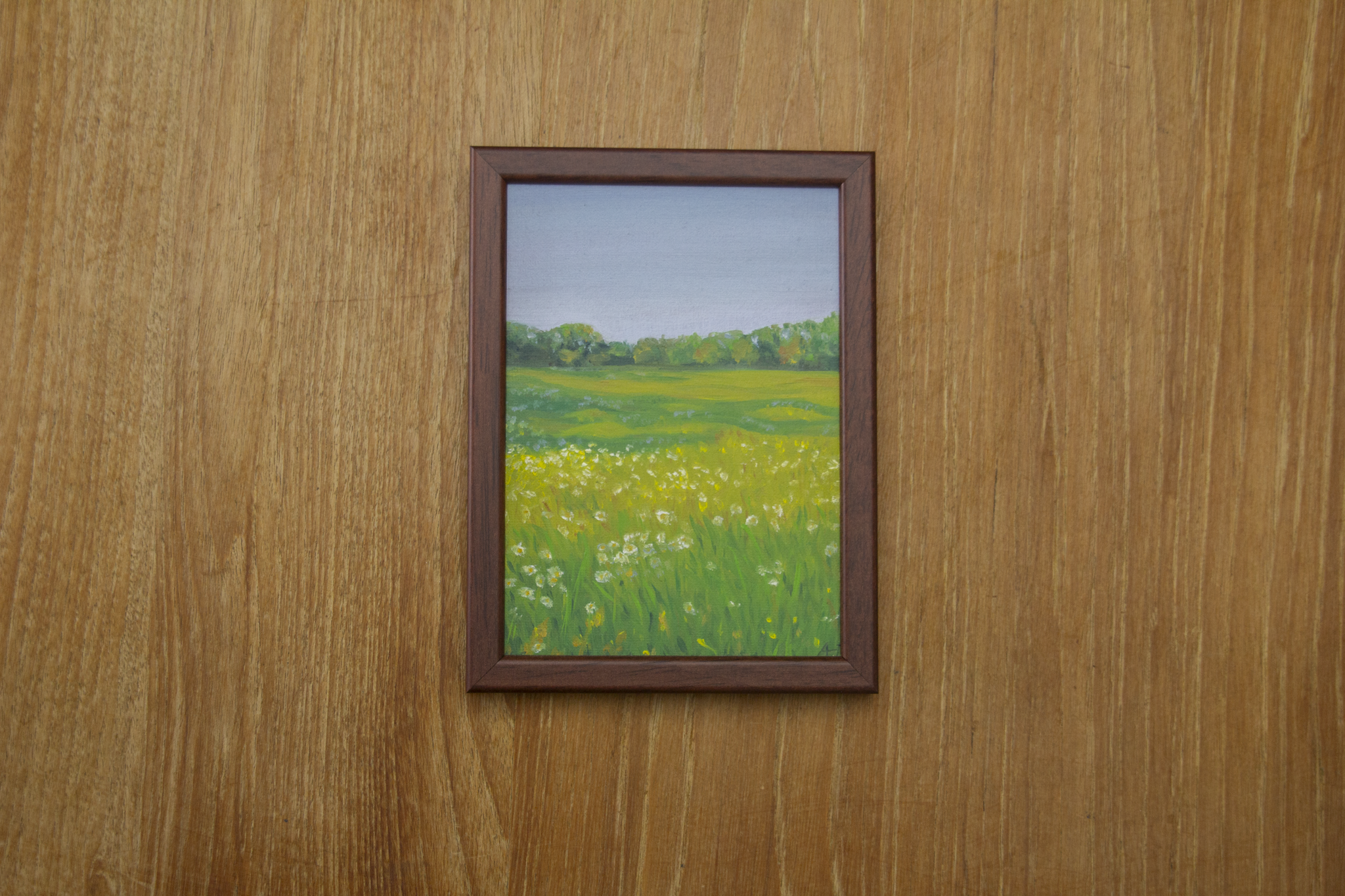 White Flower Meadow
